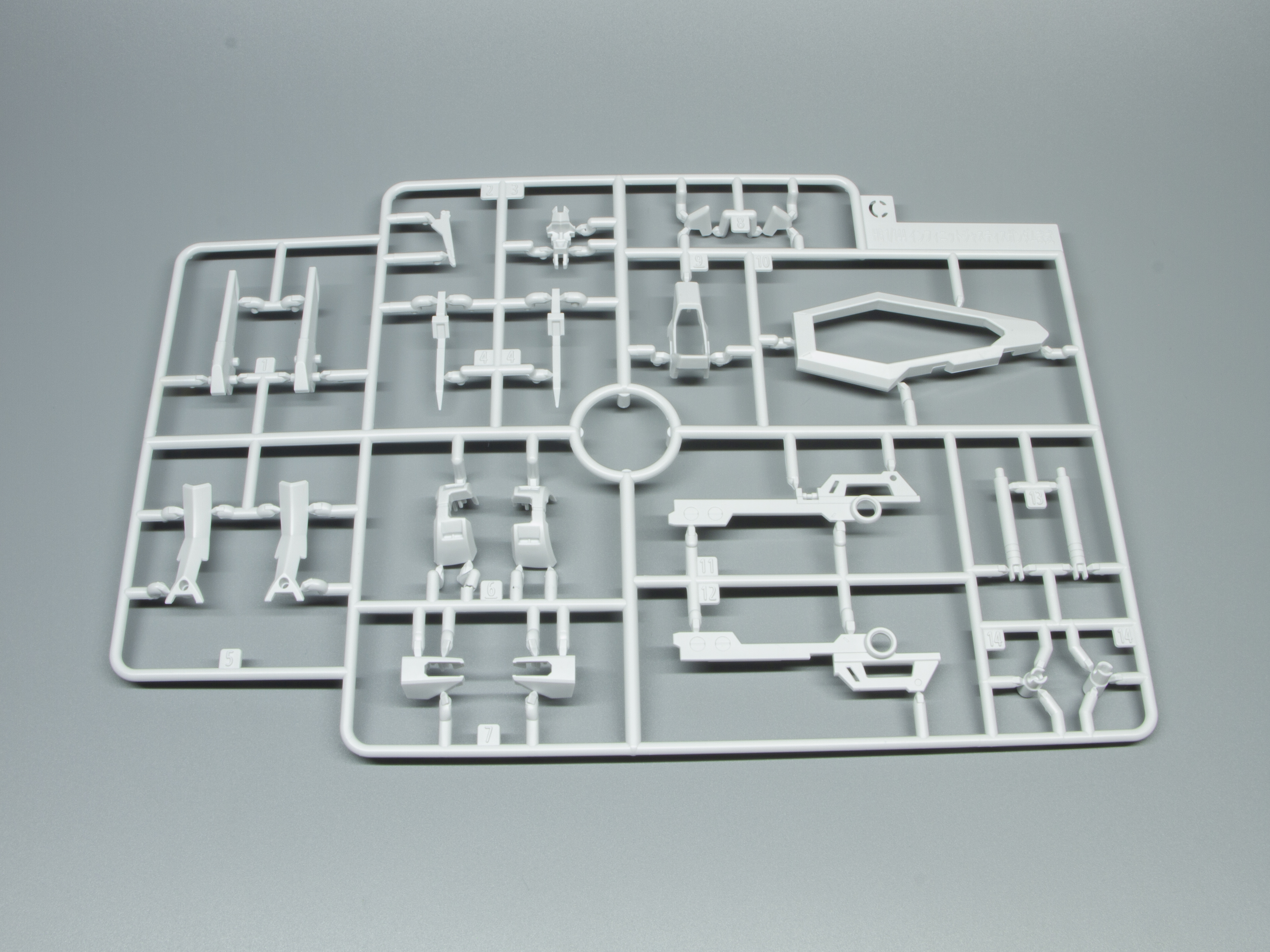 Cランナー。鮮やかなピンクに映えるホワイト