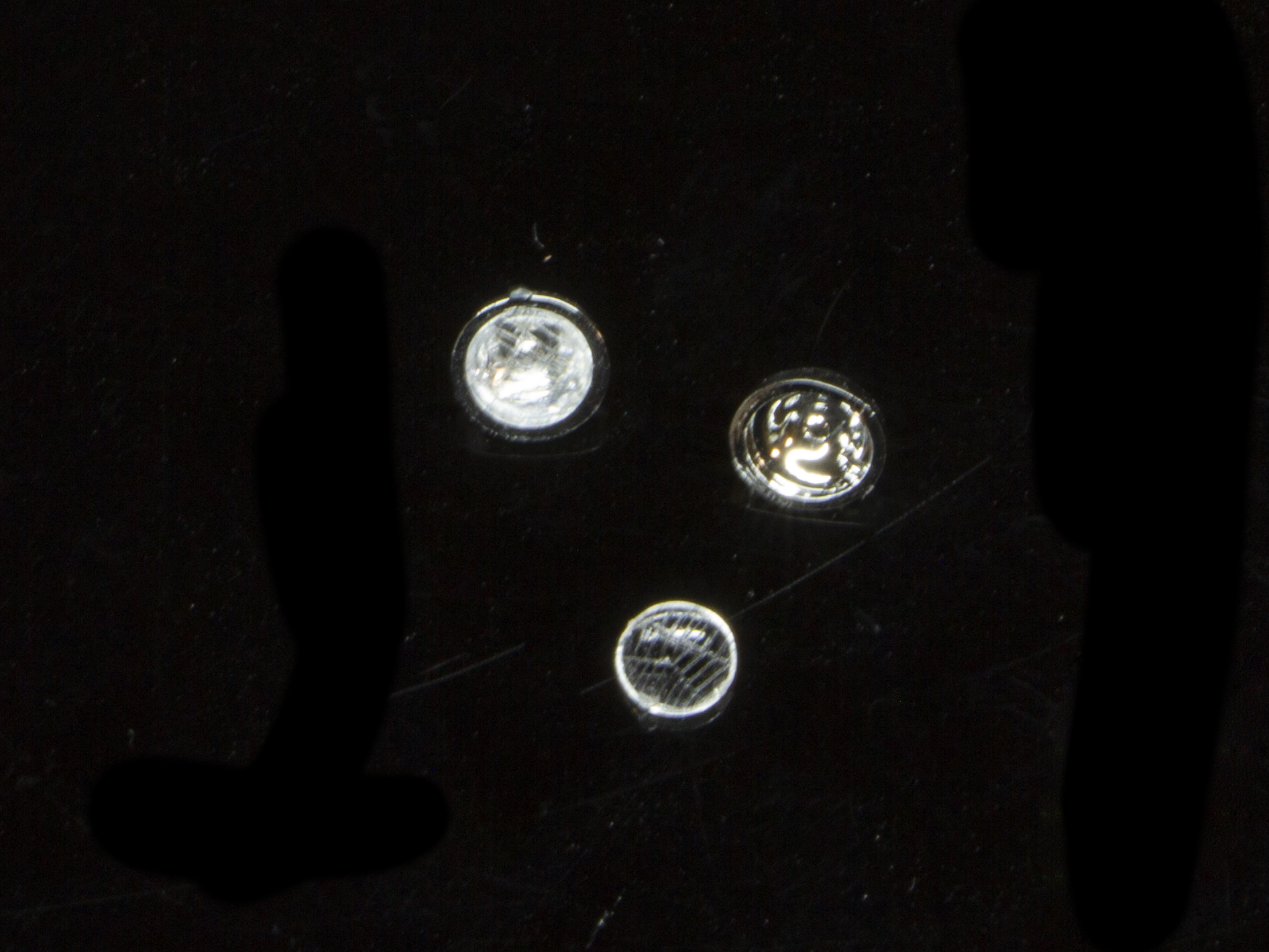 ライトの組み立て