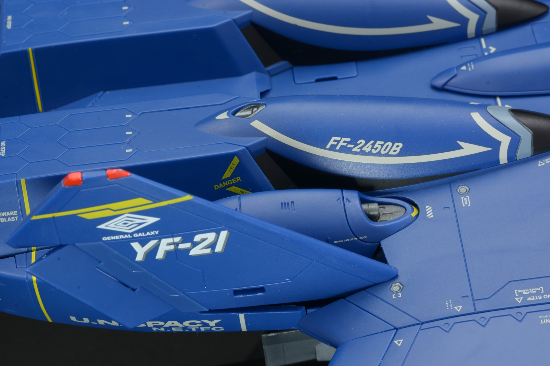 全身のマーキングも見所