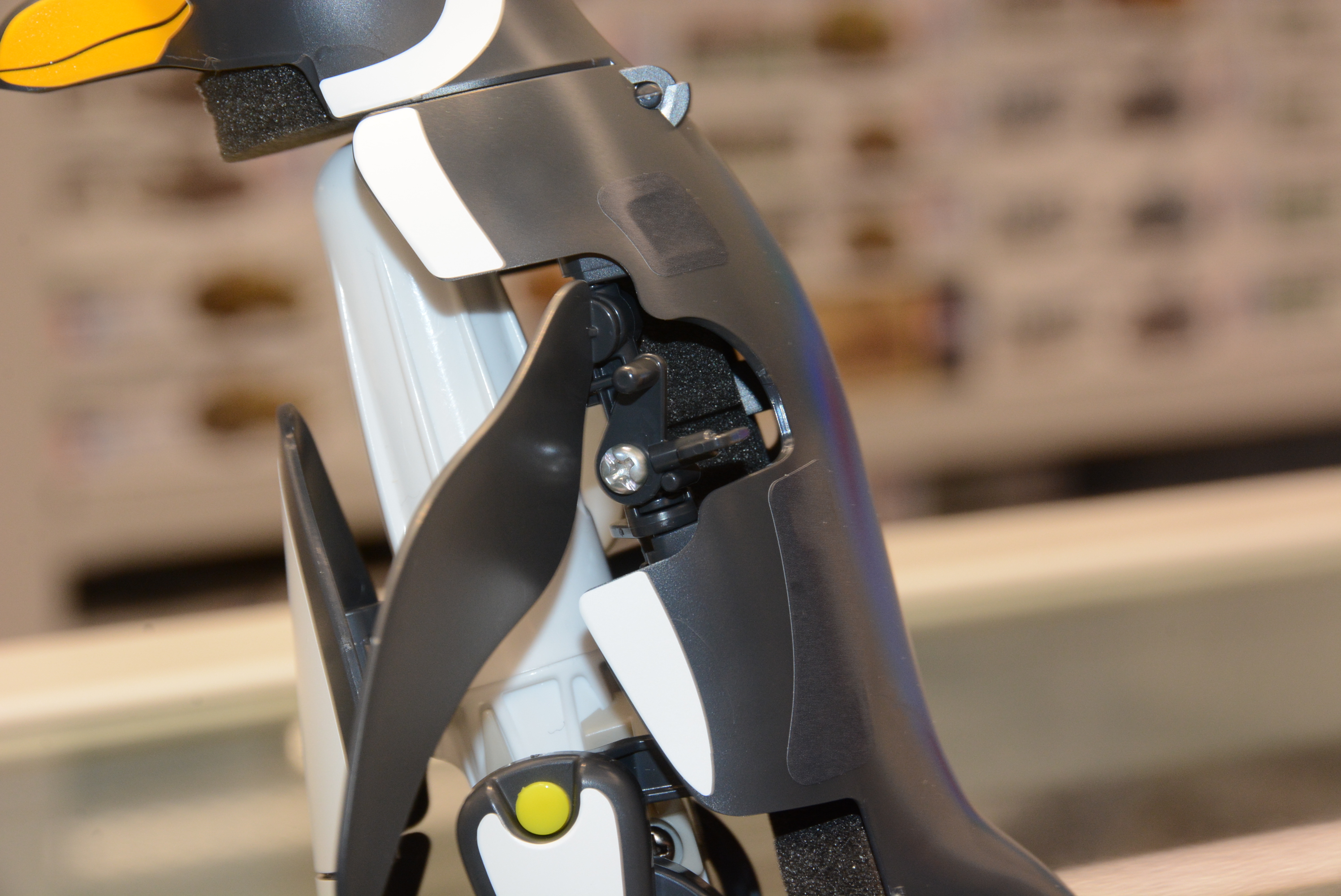 水上ではフリッパーを使って進む