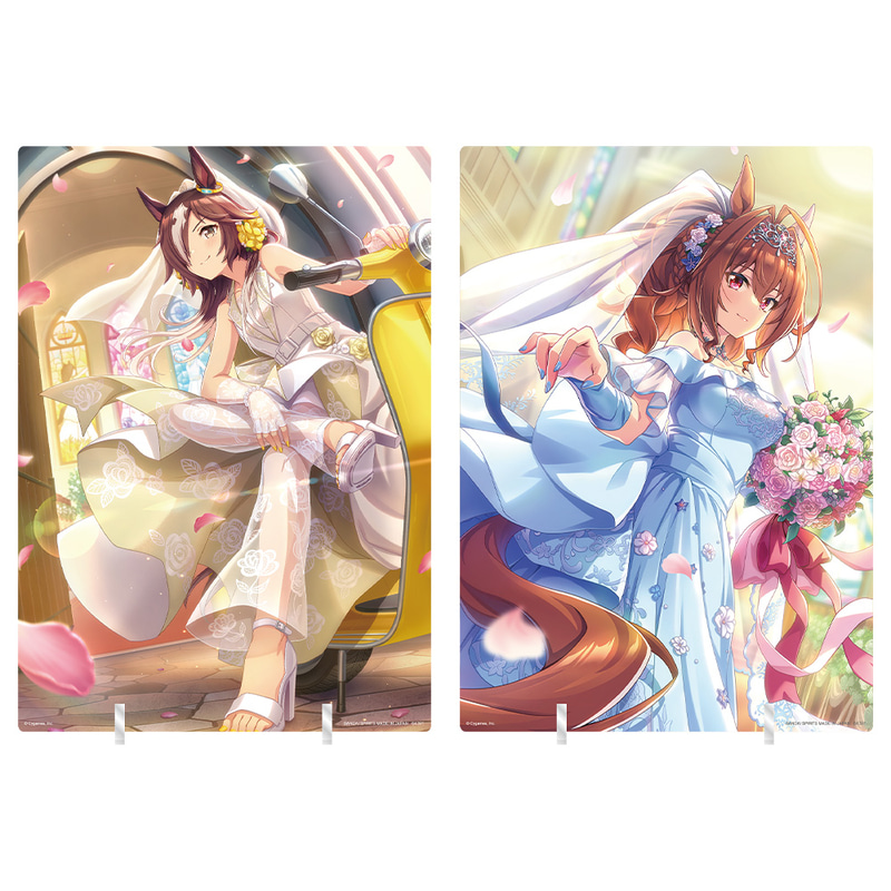 SSRサポートカードを通常とは異なる、7色印刷という特殊な印刷で印刷。アクリルの台座付き。サイズはA4