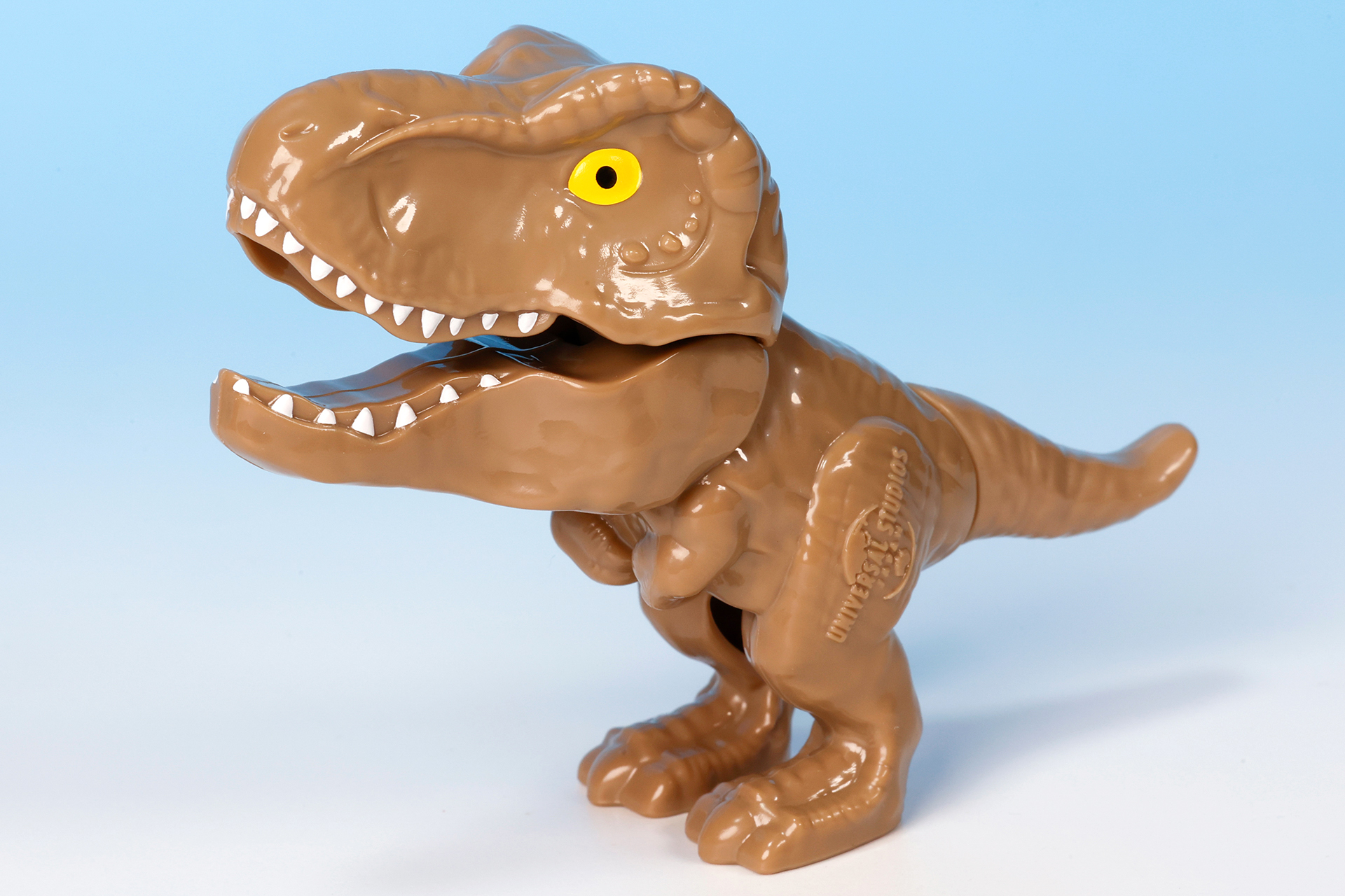 可愛らしいが目が黄色いこともあり鋭く見える