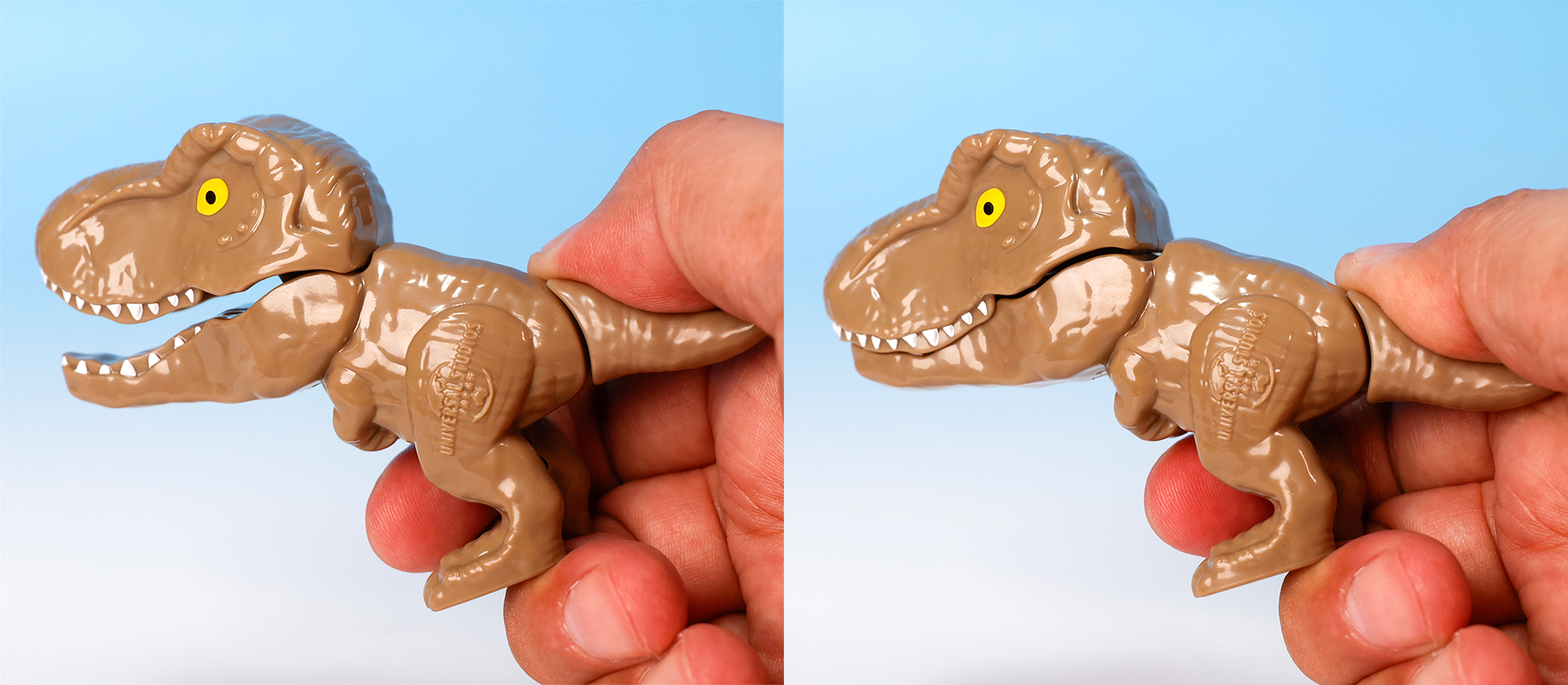 しっぽと顎はこのように連動している