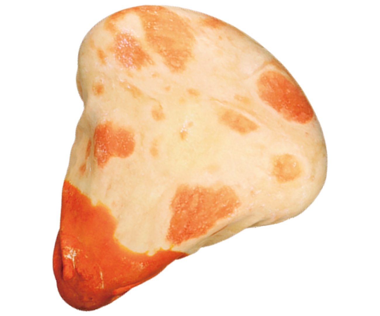 バターチキンカレー付きナン