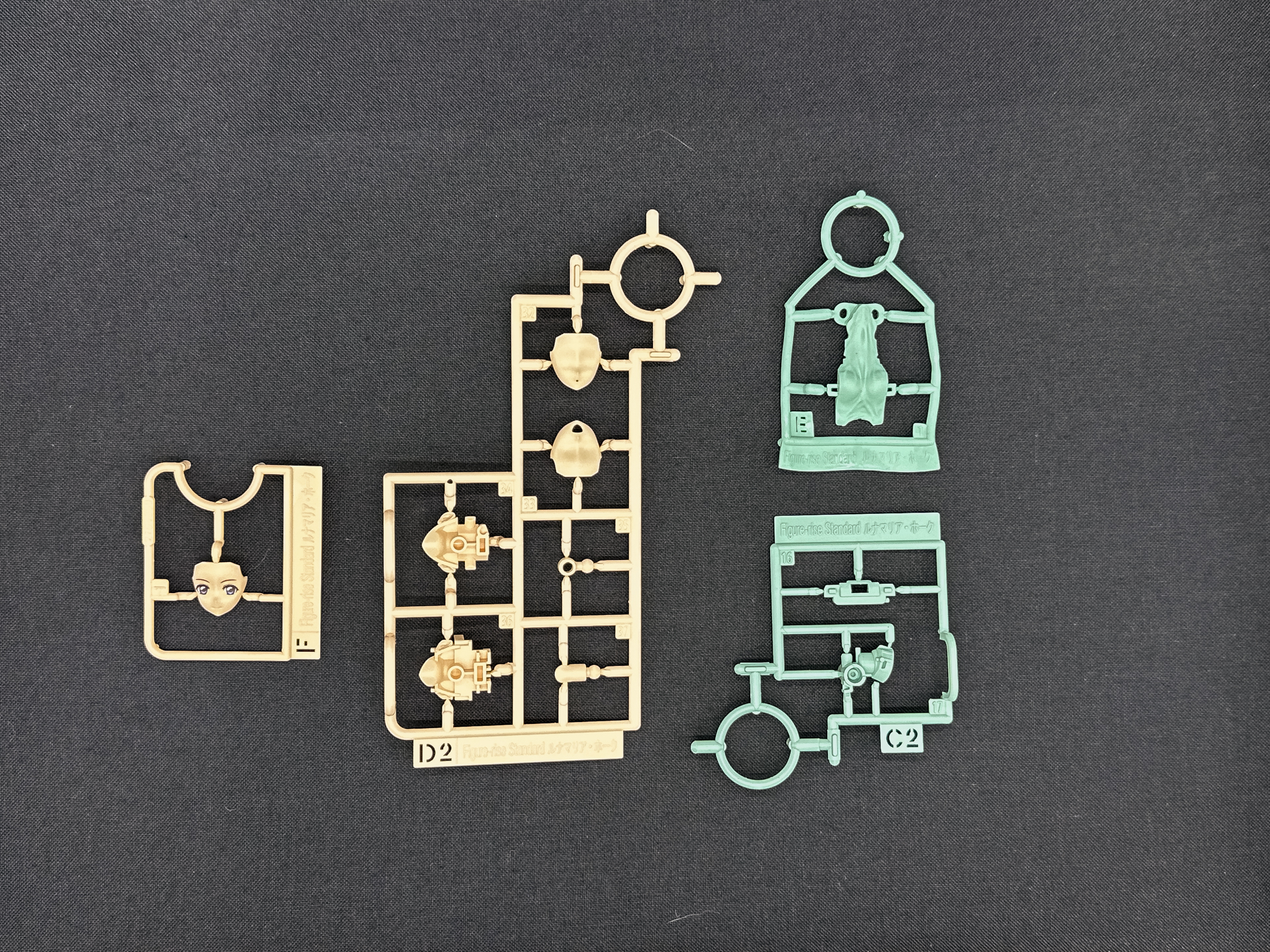 「Figure-rise Standard ルナマリア・ホーク」を構成するランナー。水転写式デカールは表情やザフトマークが含まれています。