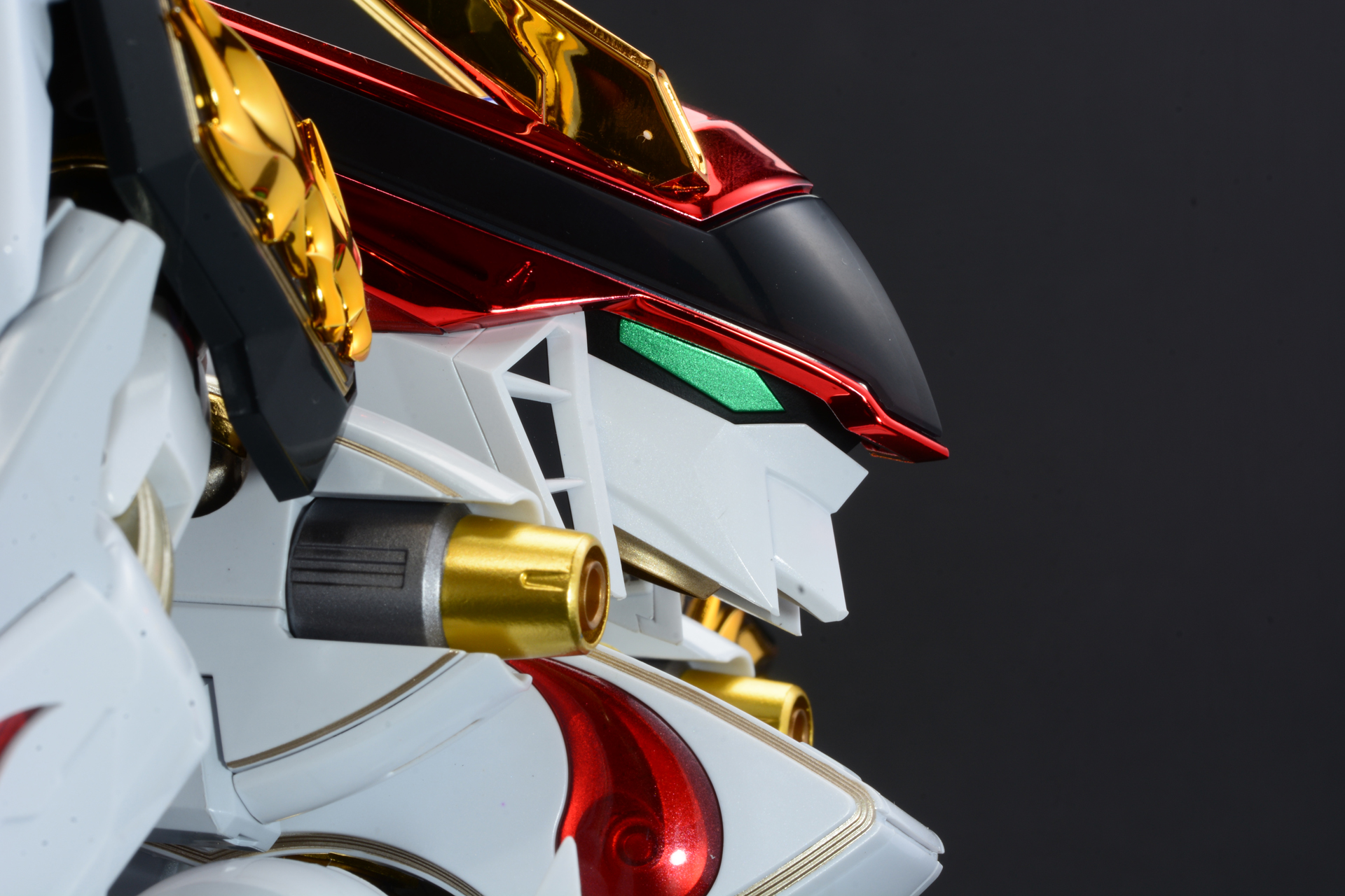 龍王丸の顔を引っ込めると目が隠れる