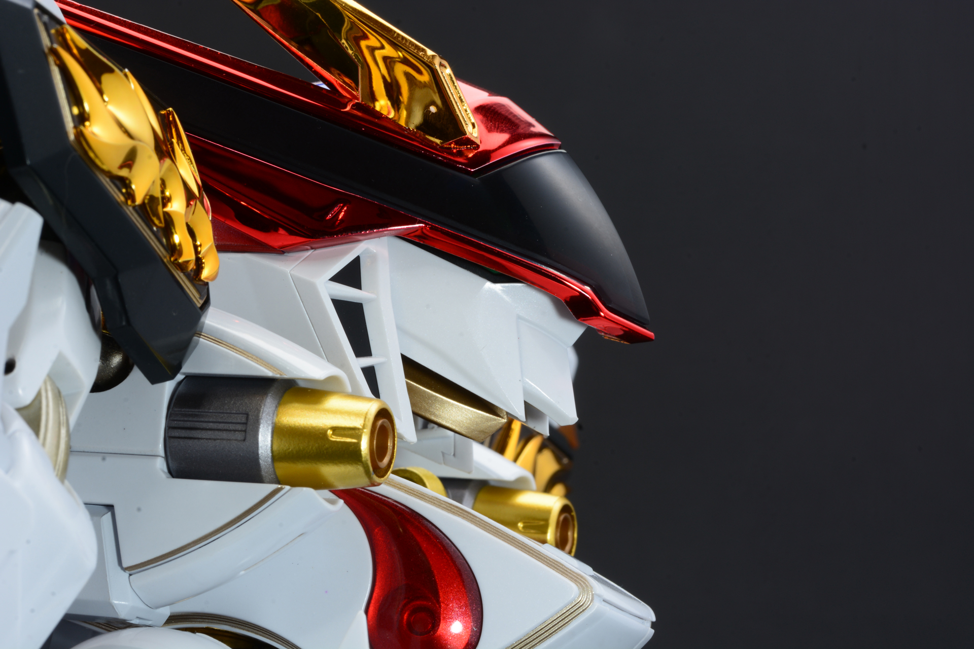 龍王丸の顔を引っ込めると目が隠れる