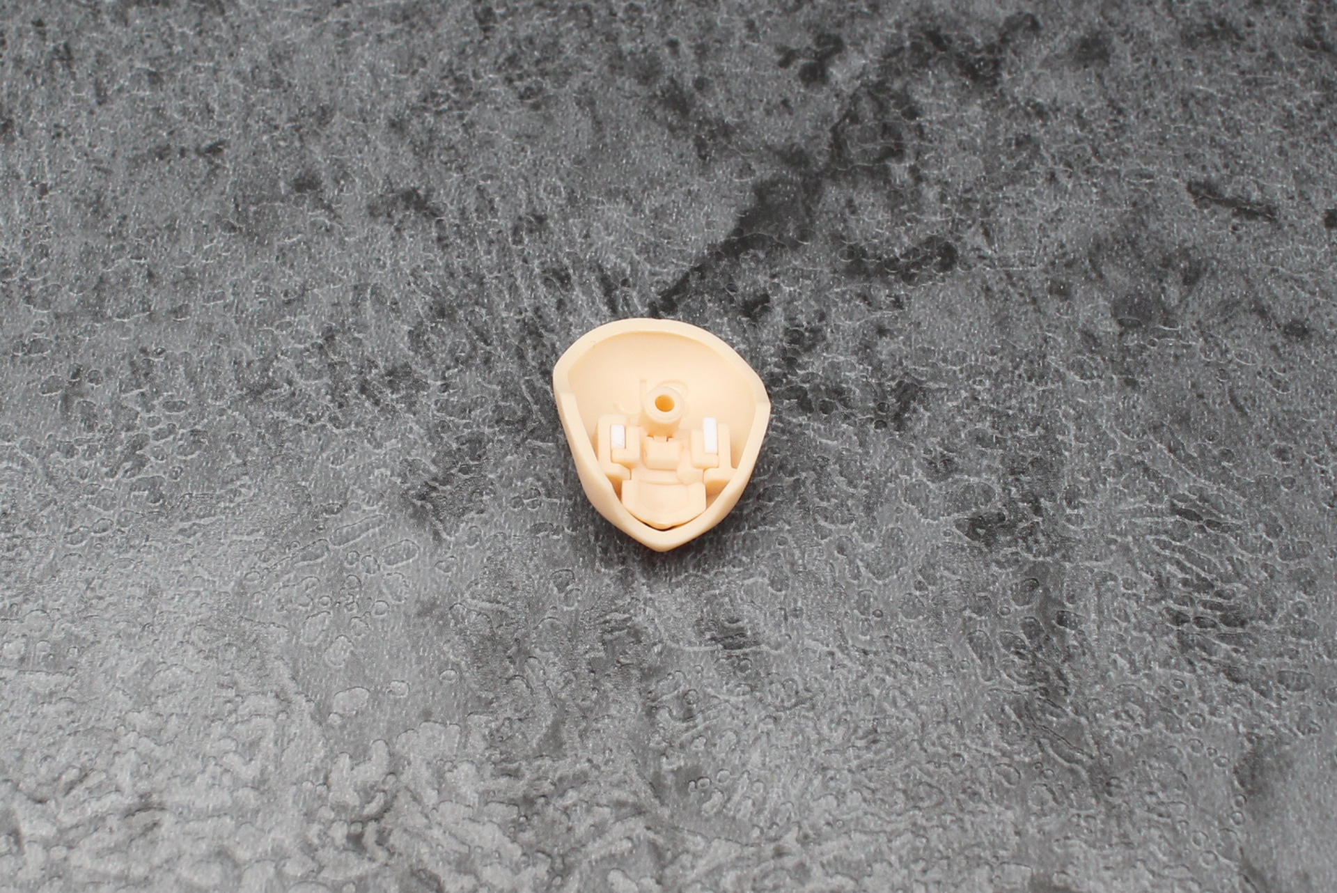 裏側から歯、舌の順で取り付けると……