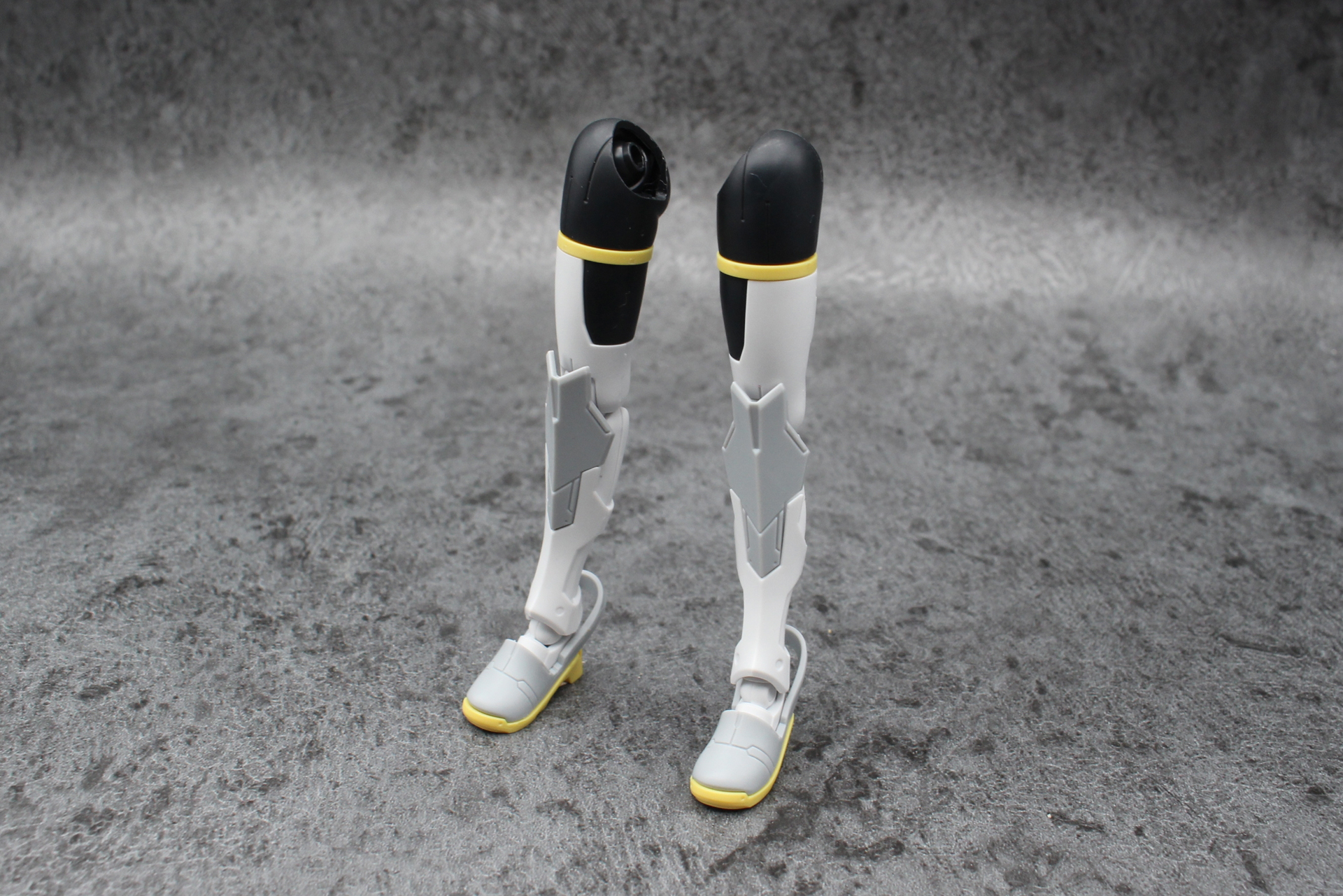 左右をも組み立てて脚部が完成