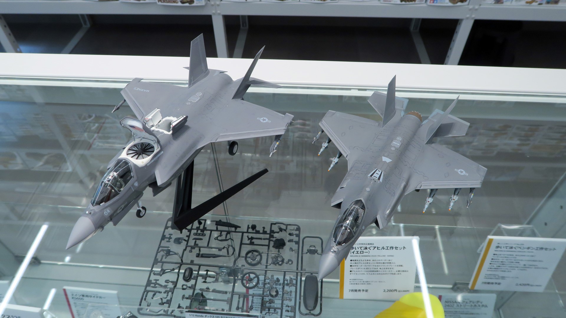 遠目でみるとモールドの違いがよくわかる（左）F-35B（右）F-35A