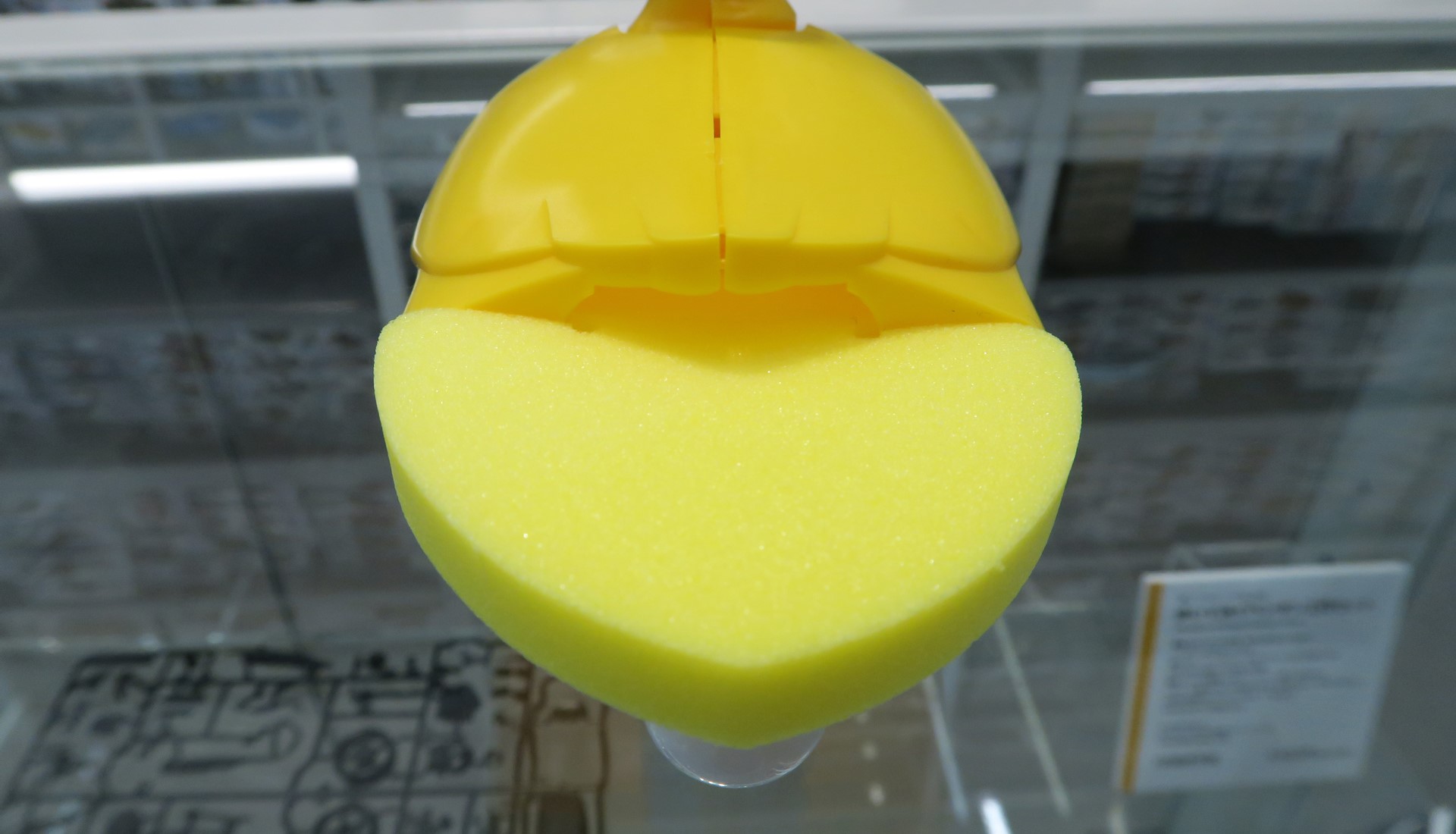 スポンジ製のフロート