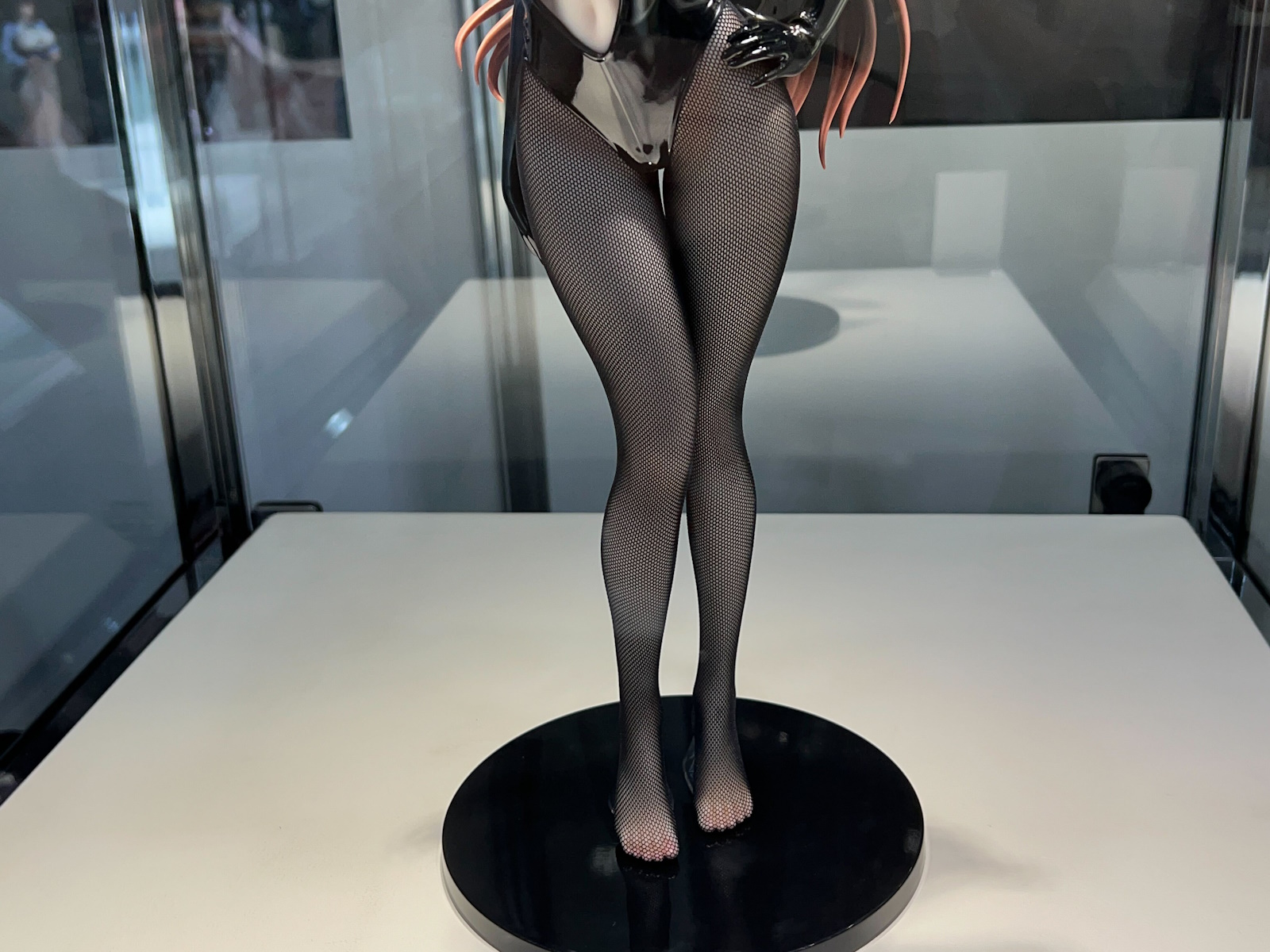 1月発売（価格：10,000円）