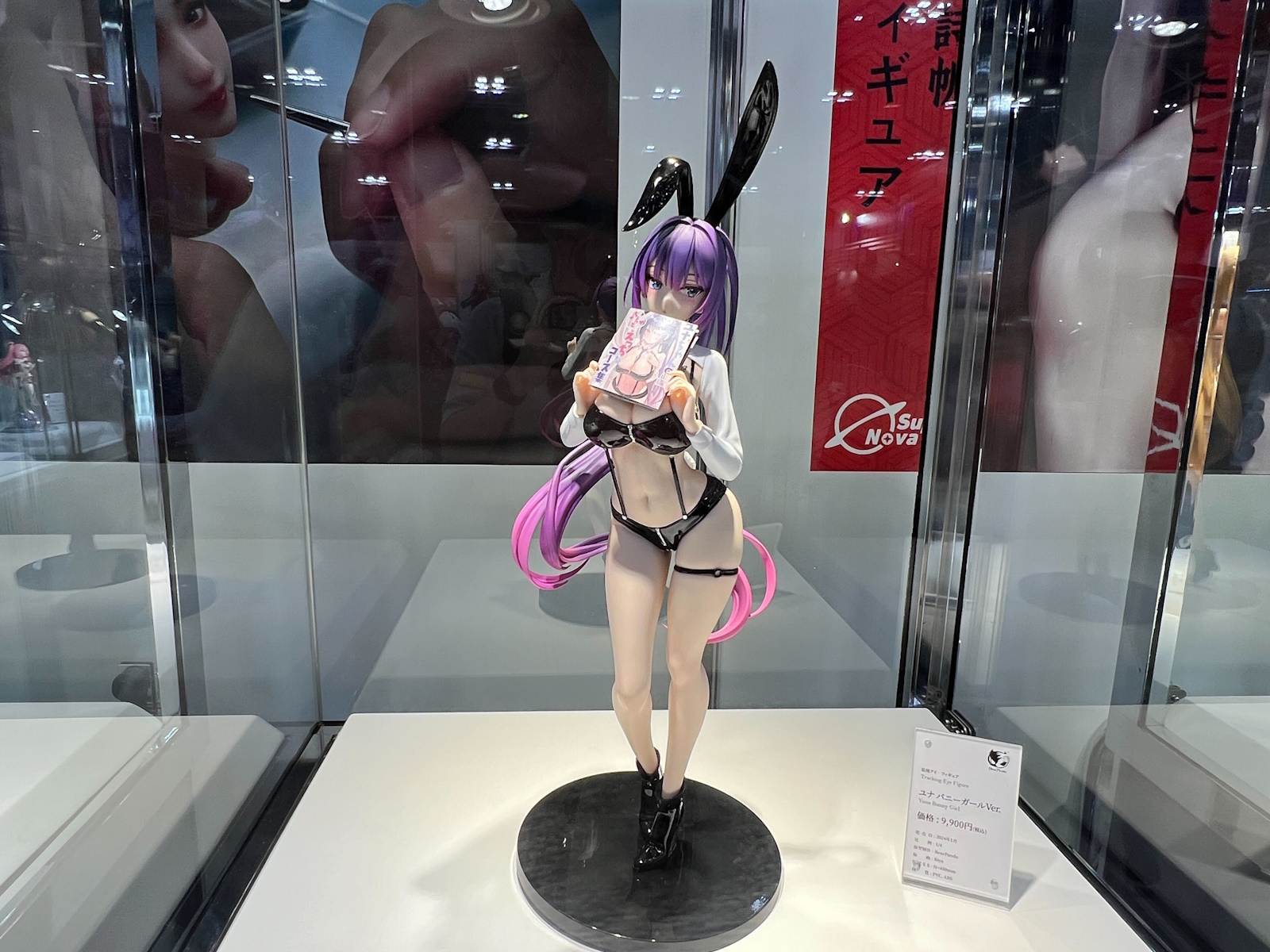 1月発売（価格：9,900円）