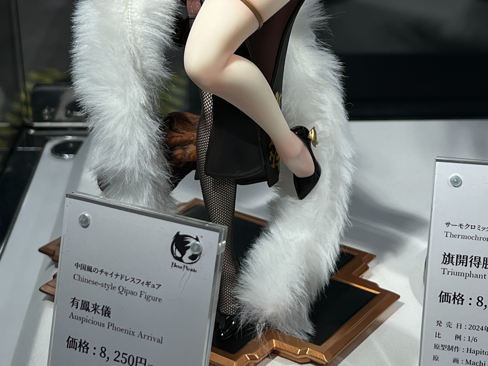 6月発売（価格：8,250円）
