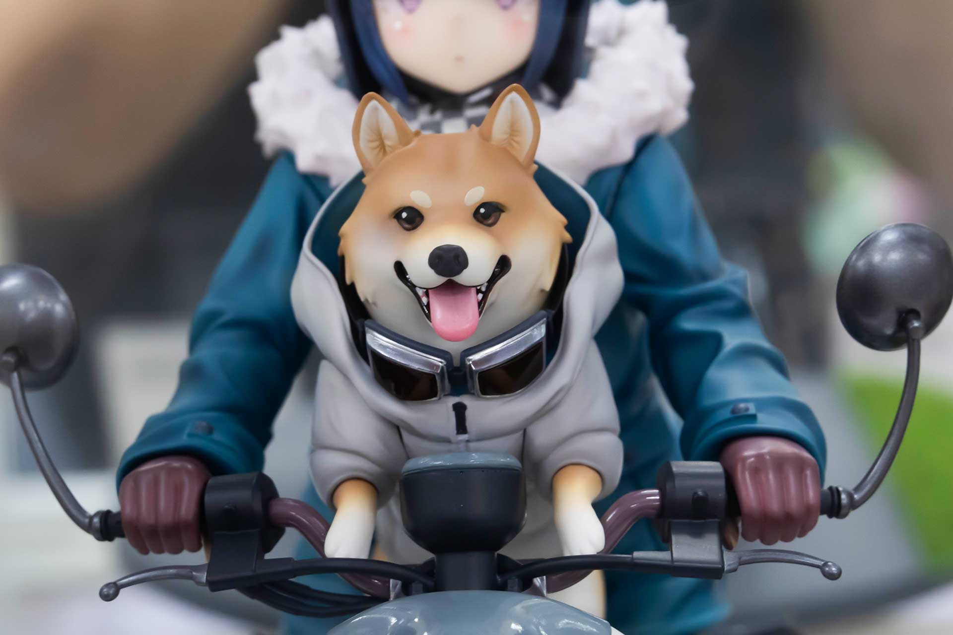 自分が主役だと思い込んでそうなワンチャンの表情