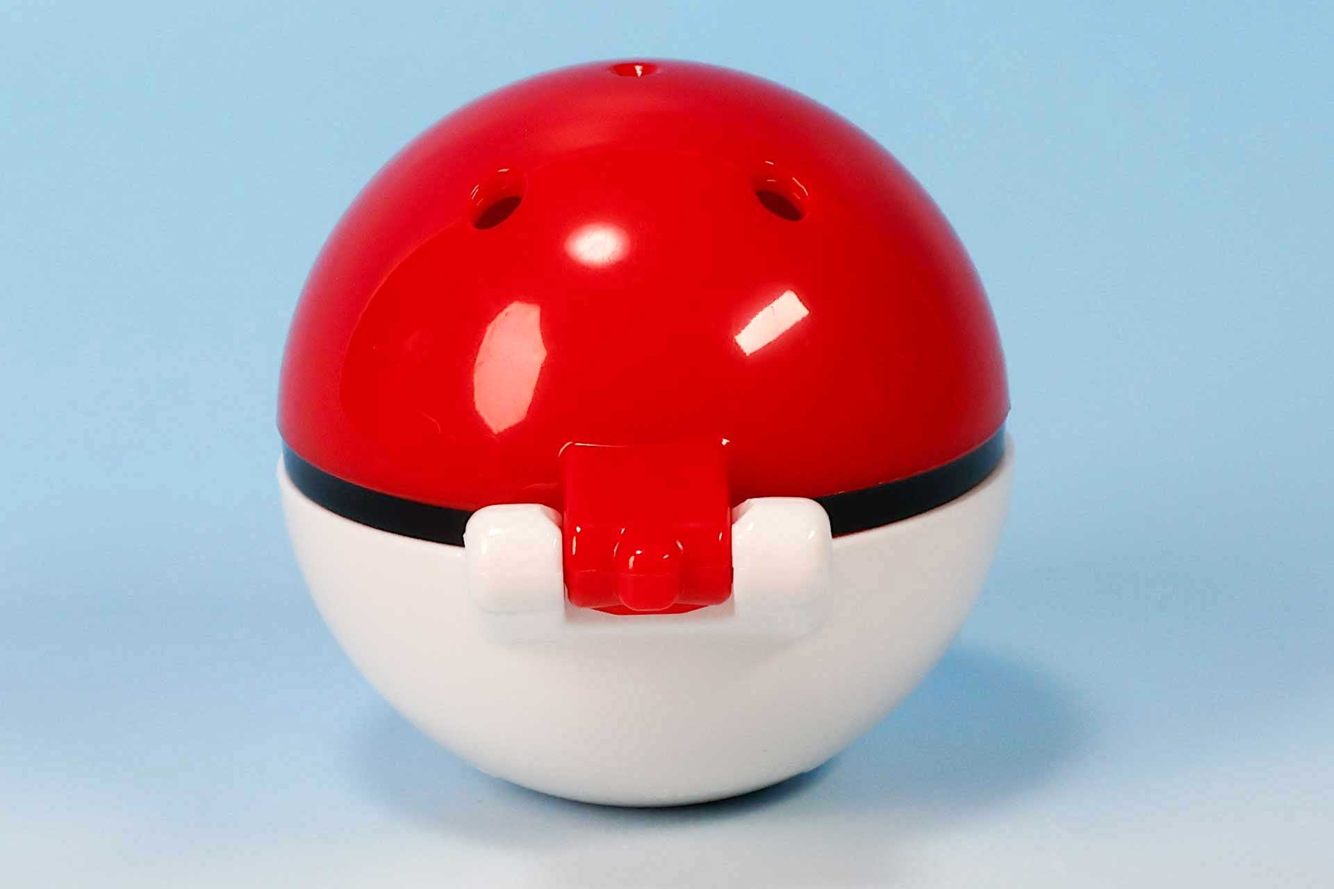 こちらは背面側から見たところ