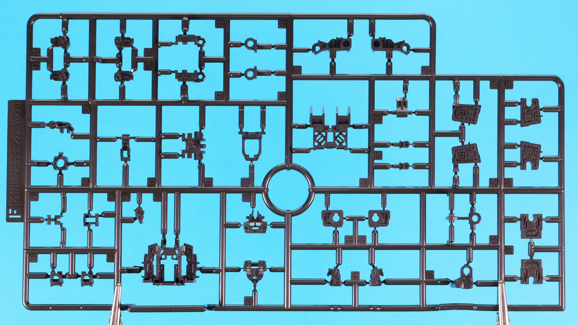F:主にフレーム