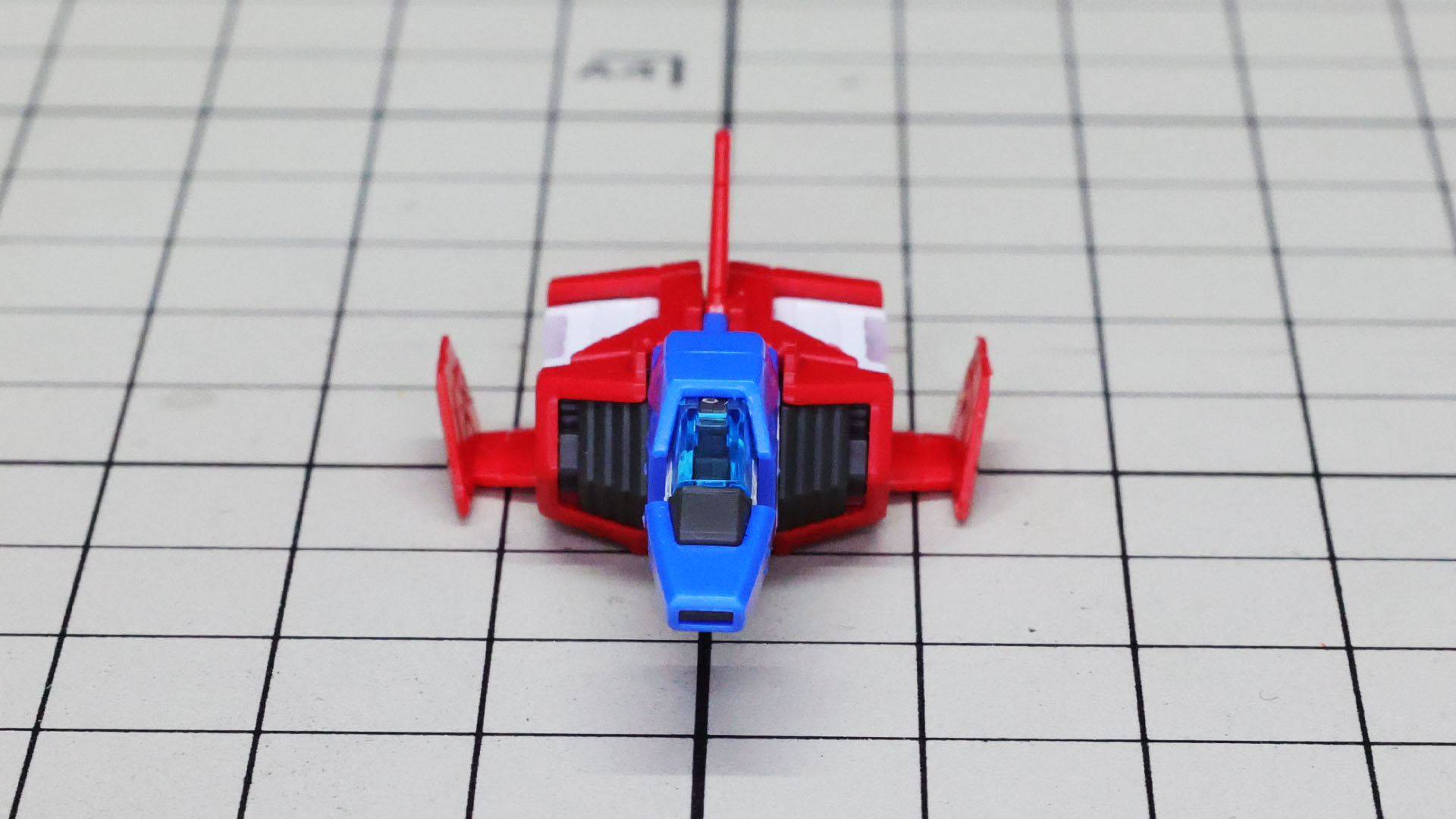 左右の翼は短い感じでしょうか