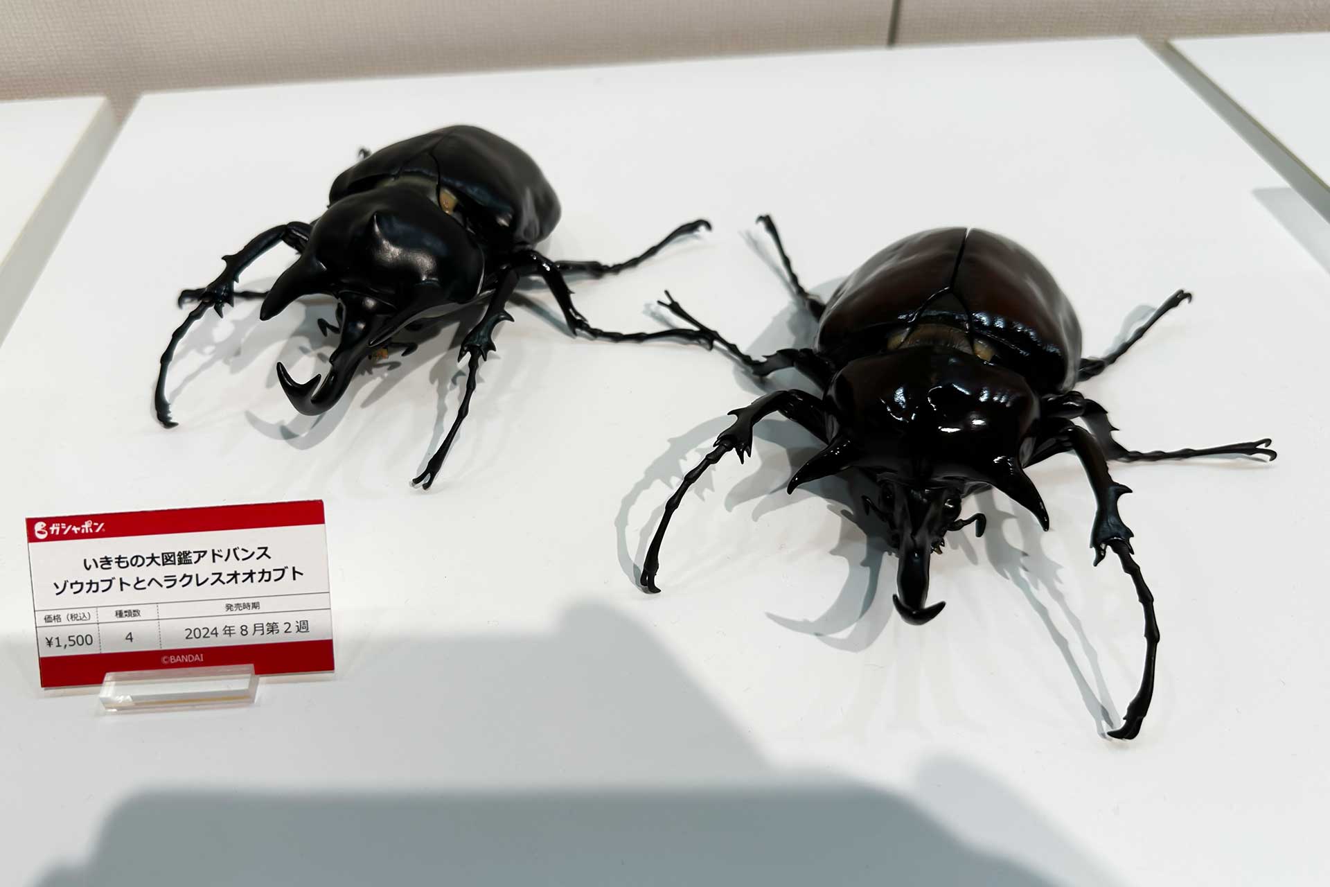 8月第2週から発売される「いきもの大図鑑アドバンス ゾウカブトとヘラクレスオオカブト」。価格は1回1,500円