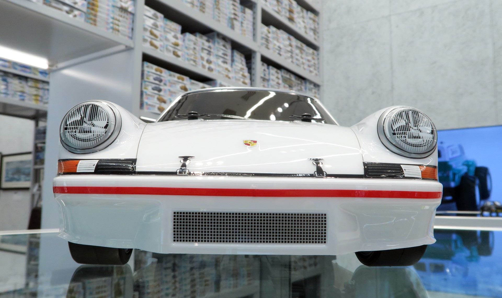 カエルを思わせるかわいらしい顔つき