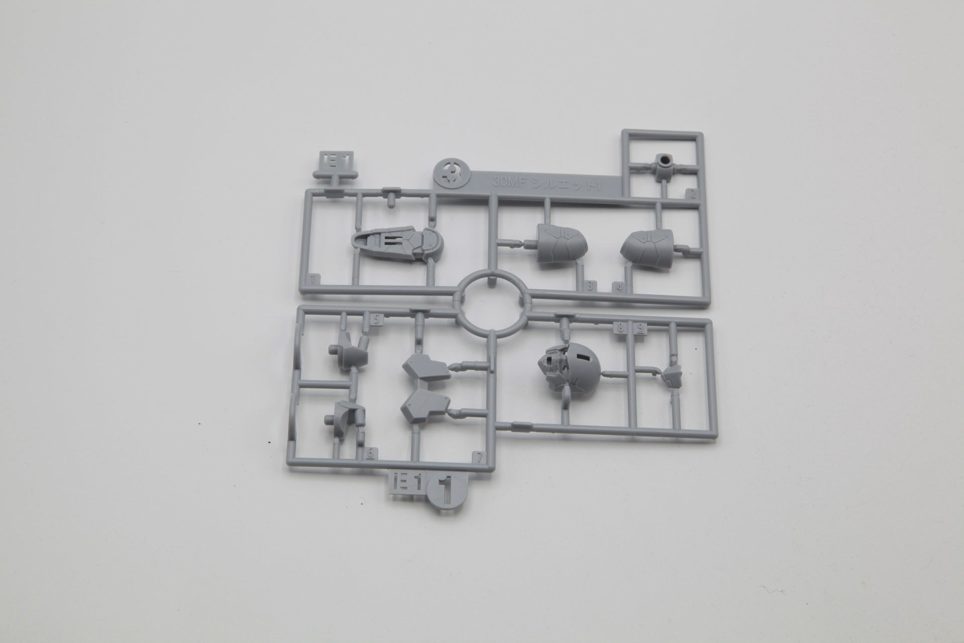 顔や足の裏側などを構成するEランナー