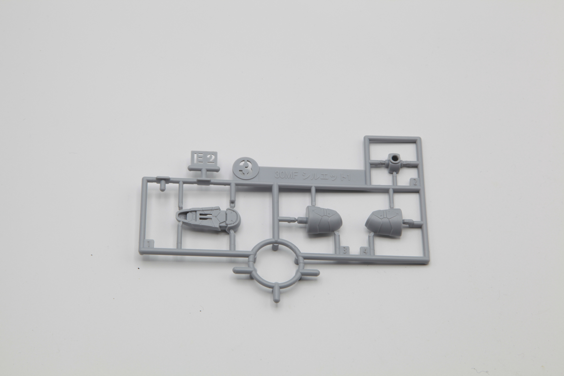 顔や足の裏側などを構成するEランナー