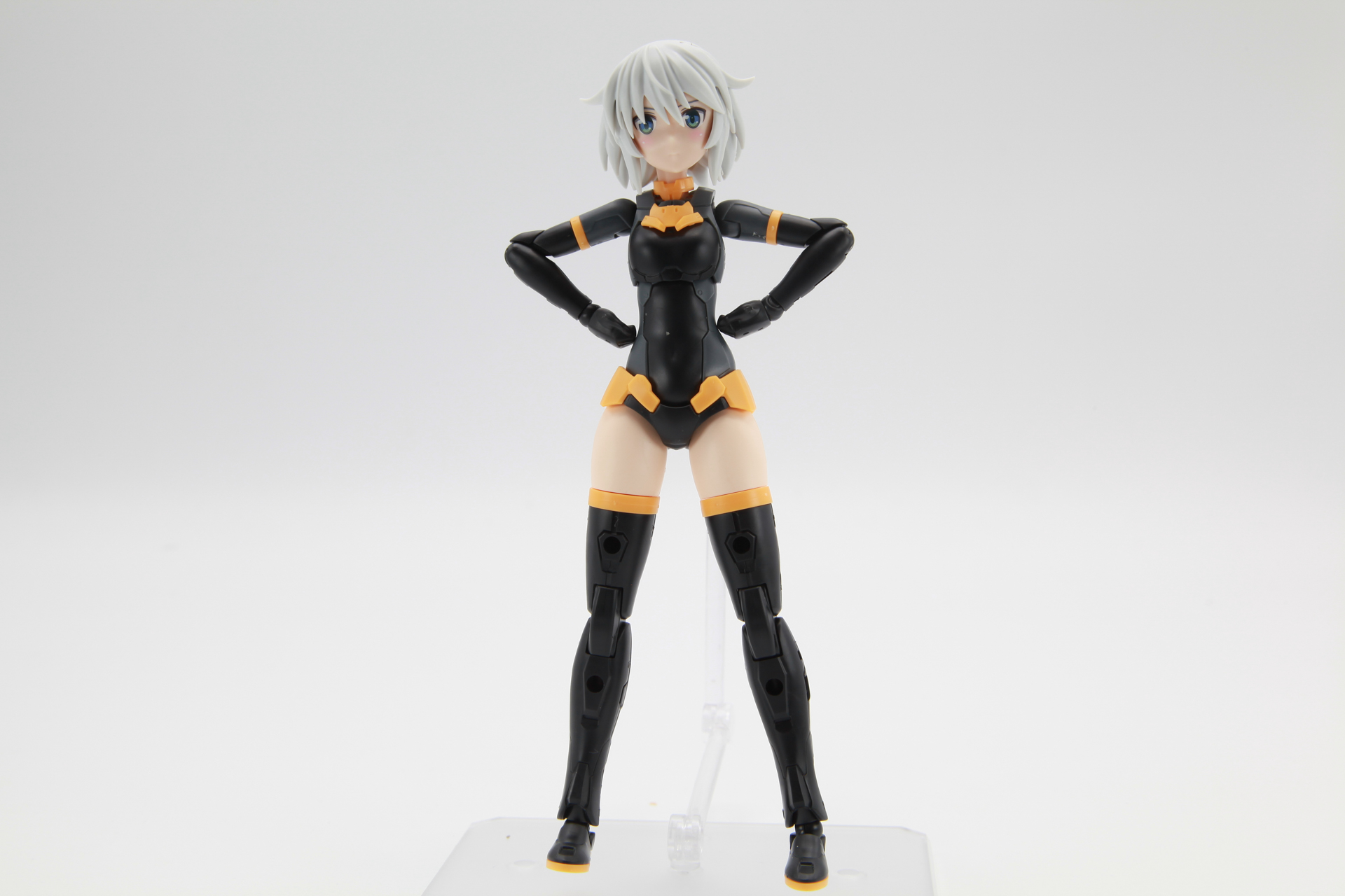 素体状態の「30MS SIS-G00 リシェッタ」を活用