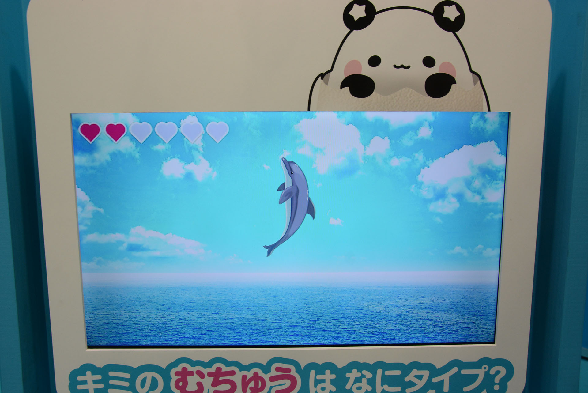 eペンを使ってイルカをなでたり、ジャンプの指示ができる