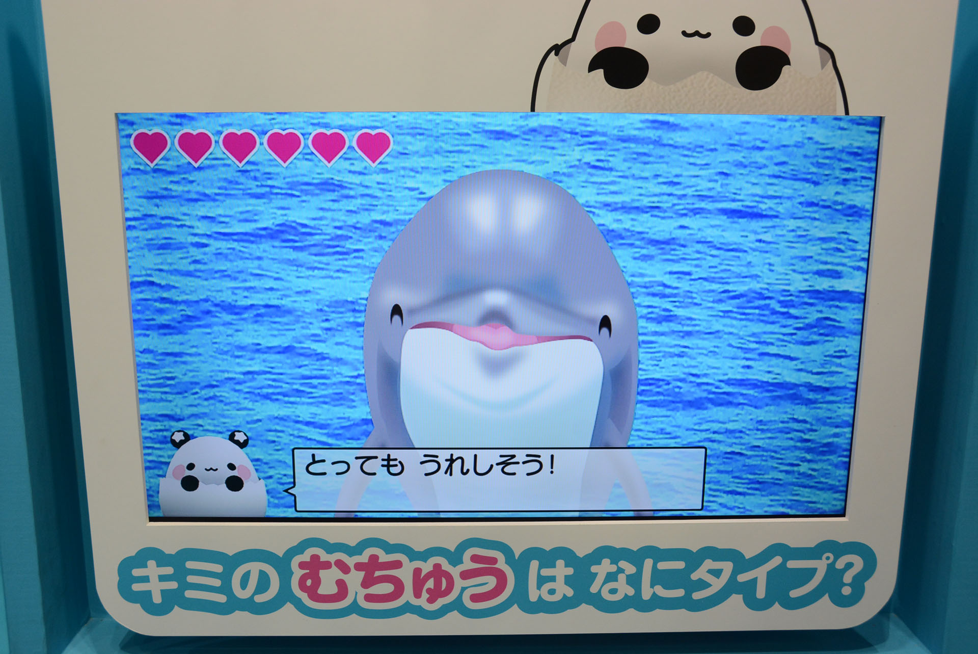 eペンを使ってイルカをなでたり、ジャンプの指示ができる