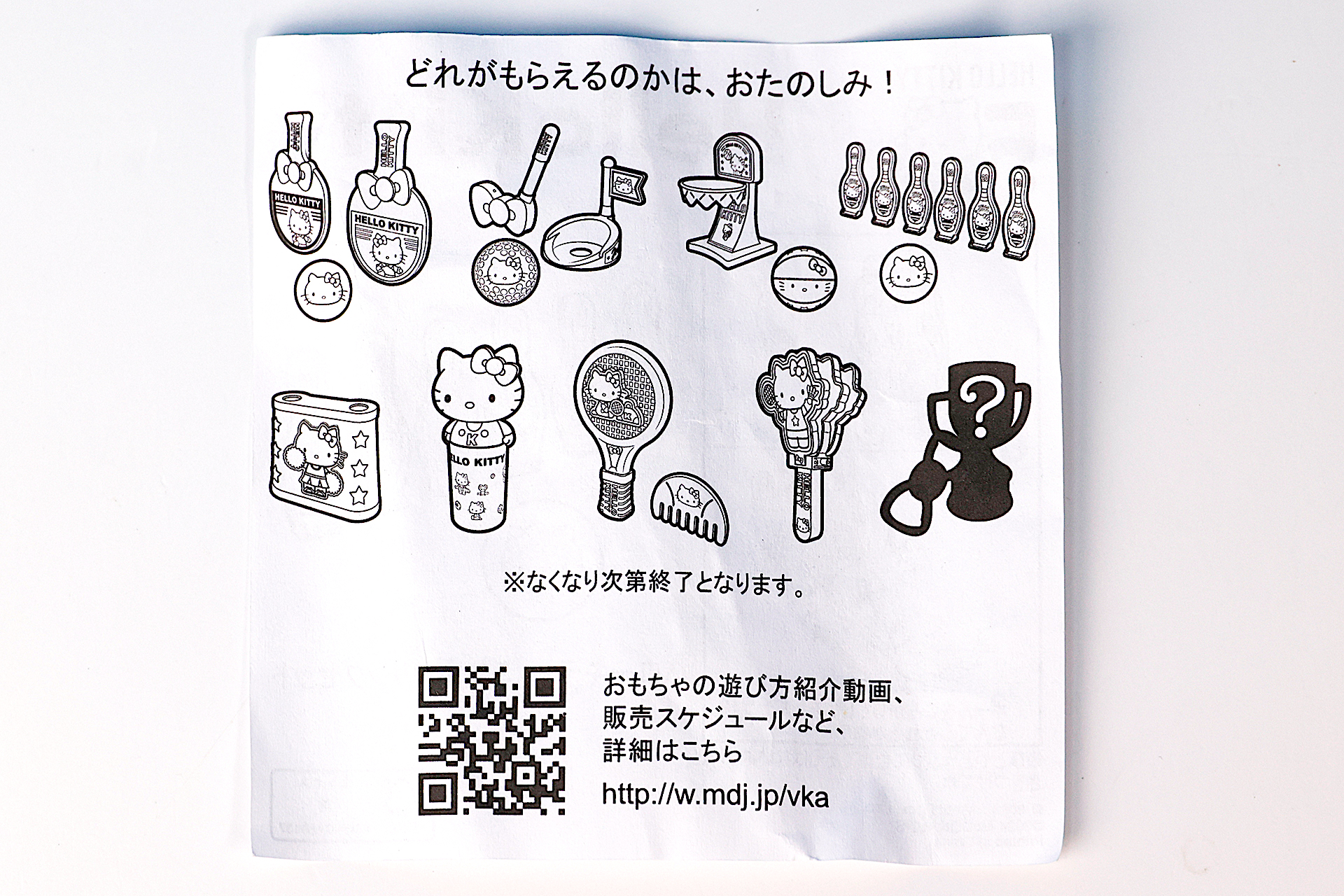 説明書の裏面は全部のおもちゃに共通したものになっている