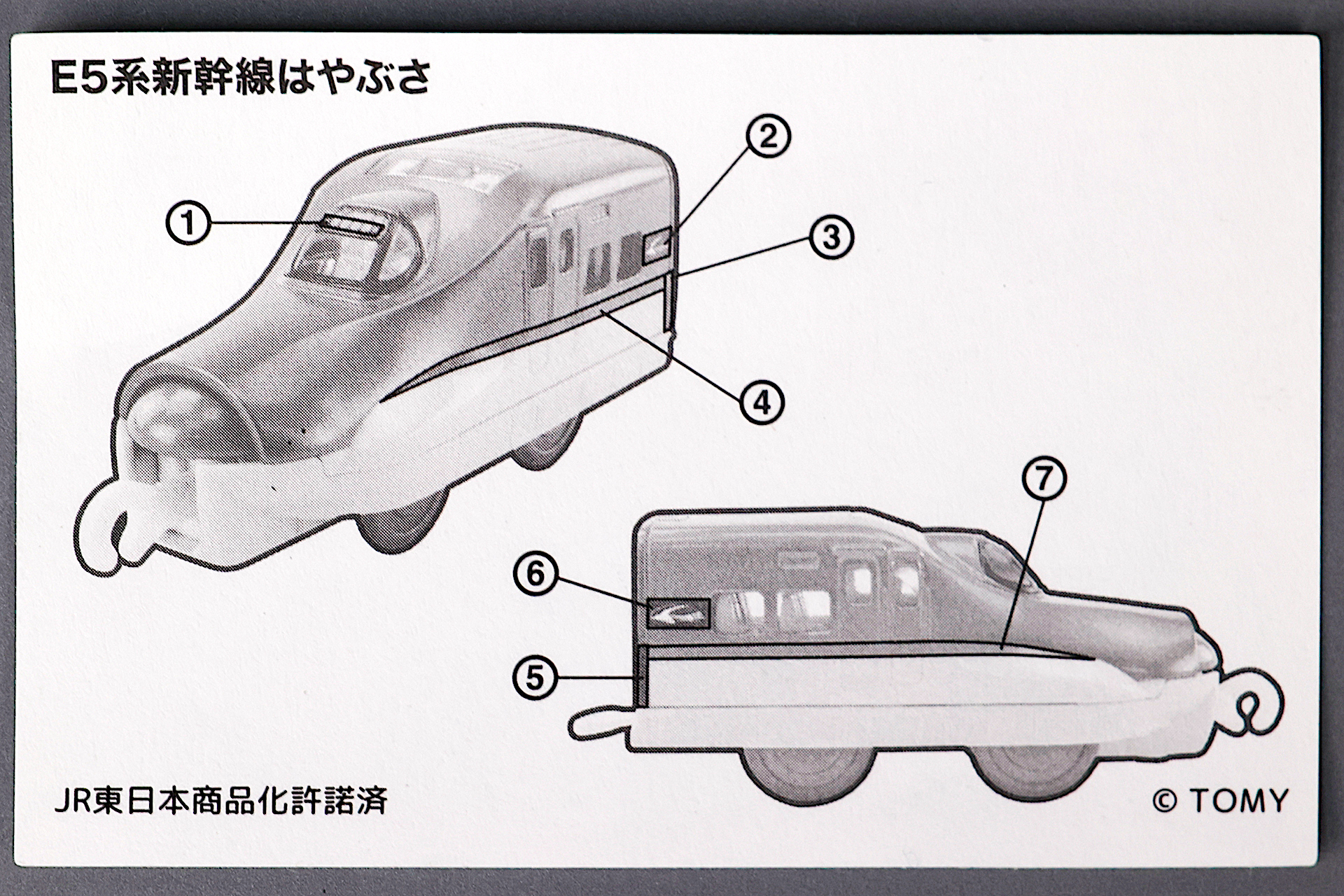 シールの裏面を参考にしよう