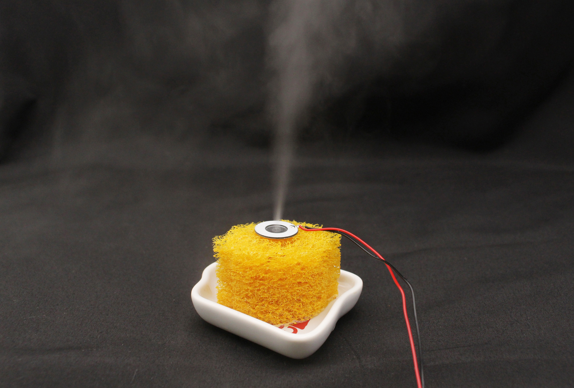 給水面を下にして水を含ませたスポンジに乗せて電源を入れたところ。工夫次第で噴射ギミックなどにも使えそうだ