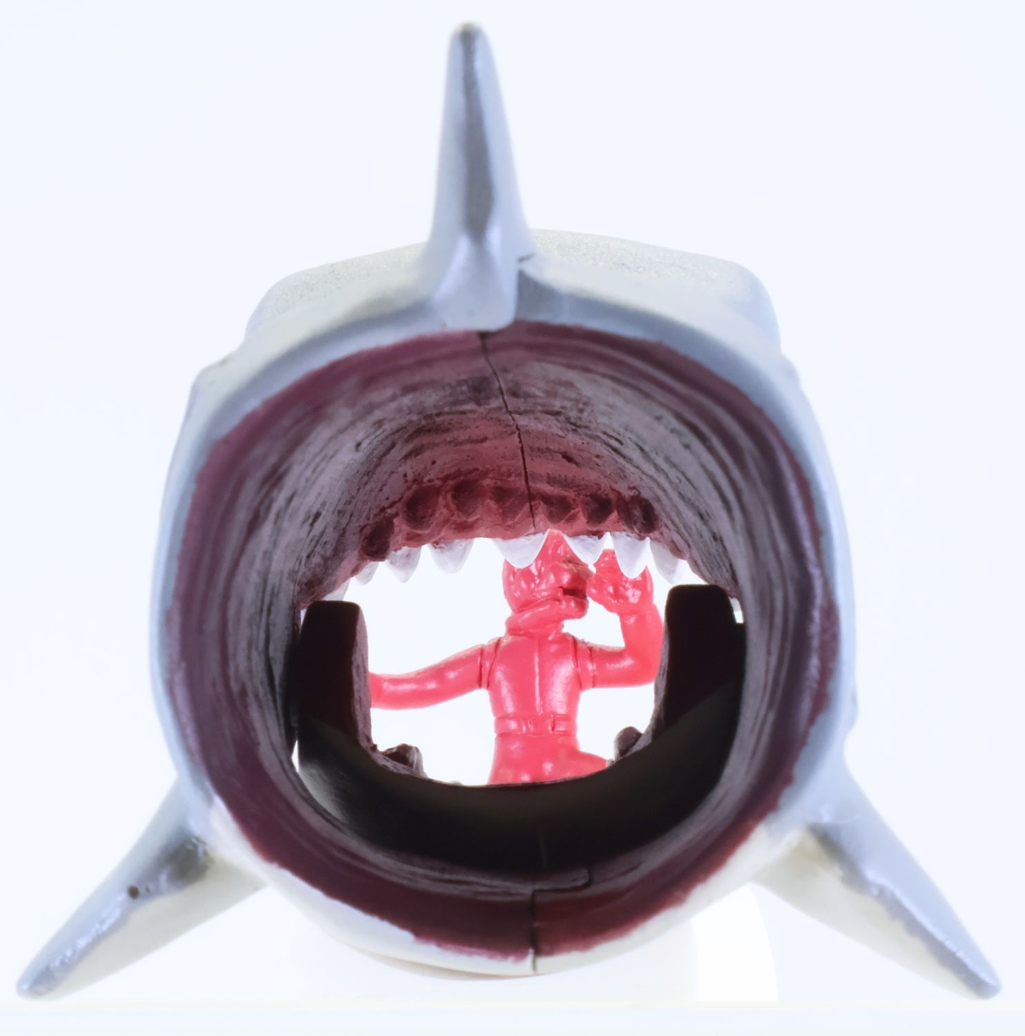 鮫の体内から狙われたダイバーがのぞく