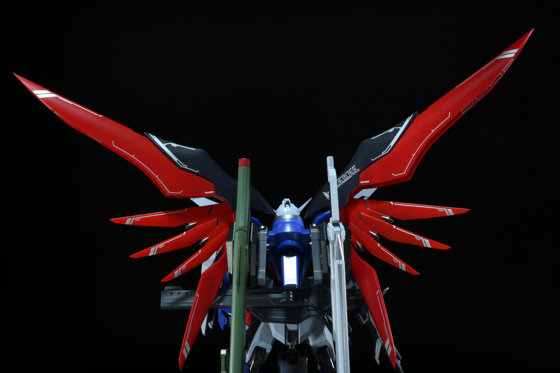 翼を展開した状態