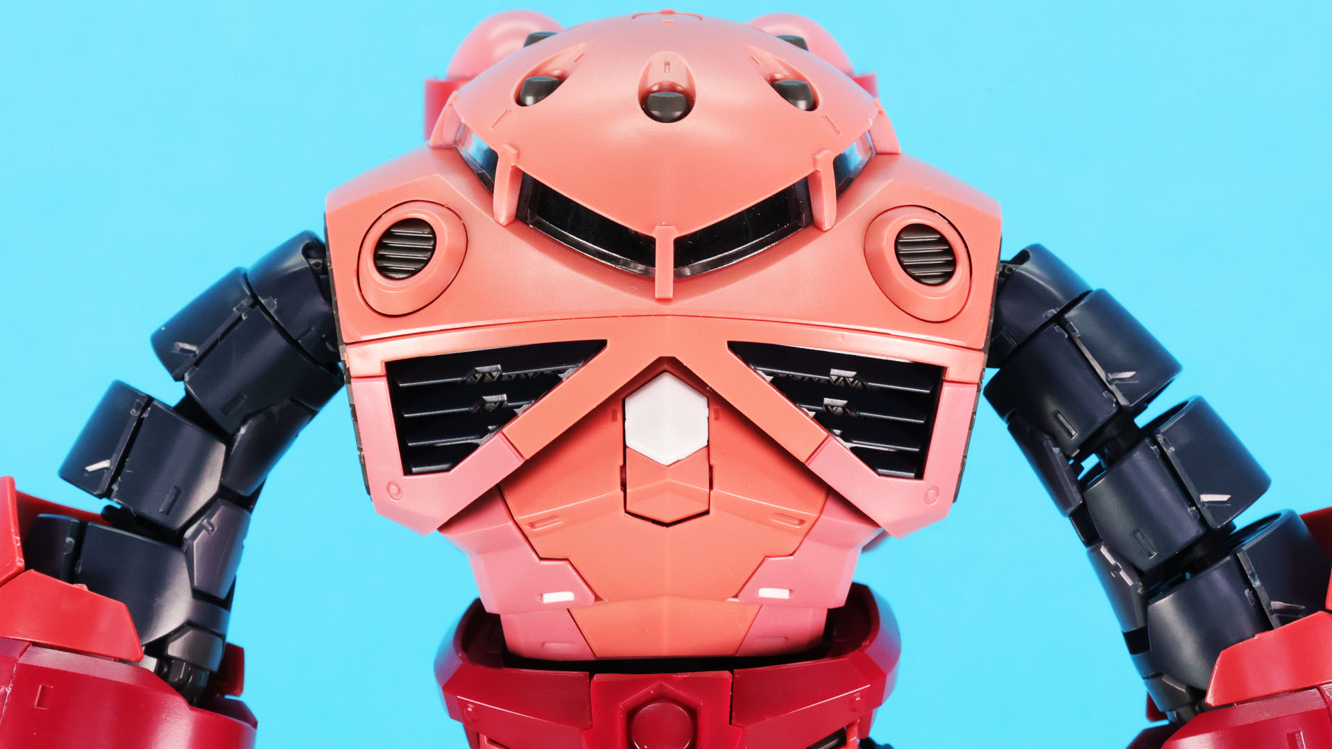 一般的な頭部がボディと同一化されたようなズゴックのデザインをリアルなディテールで再現