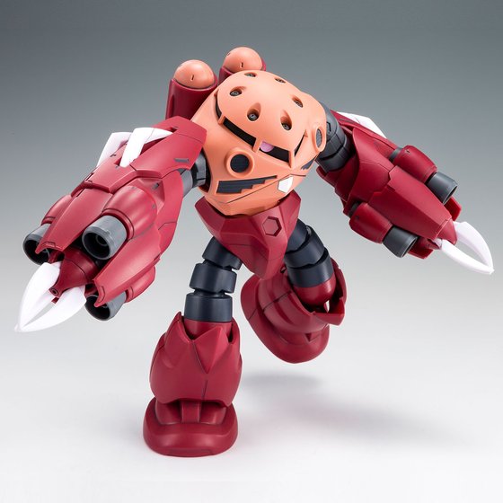 「HG 1/144 アメイジングズゴック」