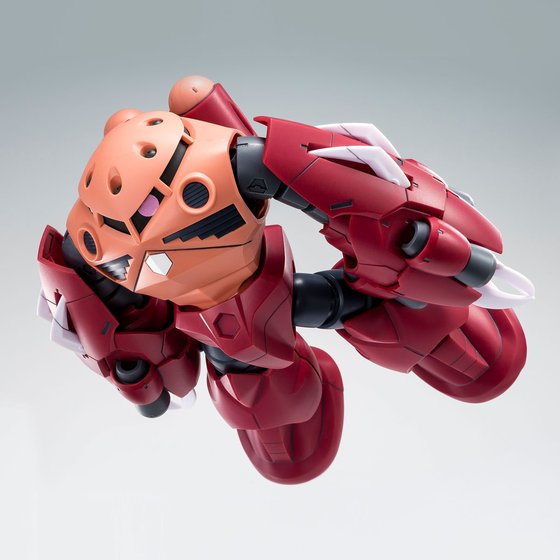 「HG 1/144 アメイジングズゴック」