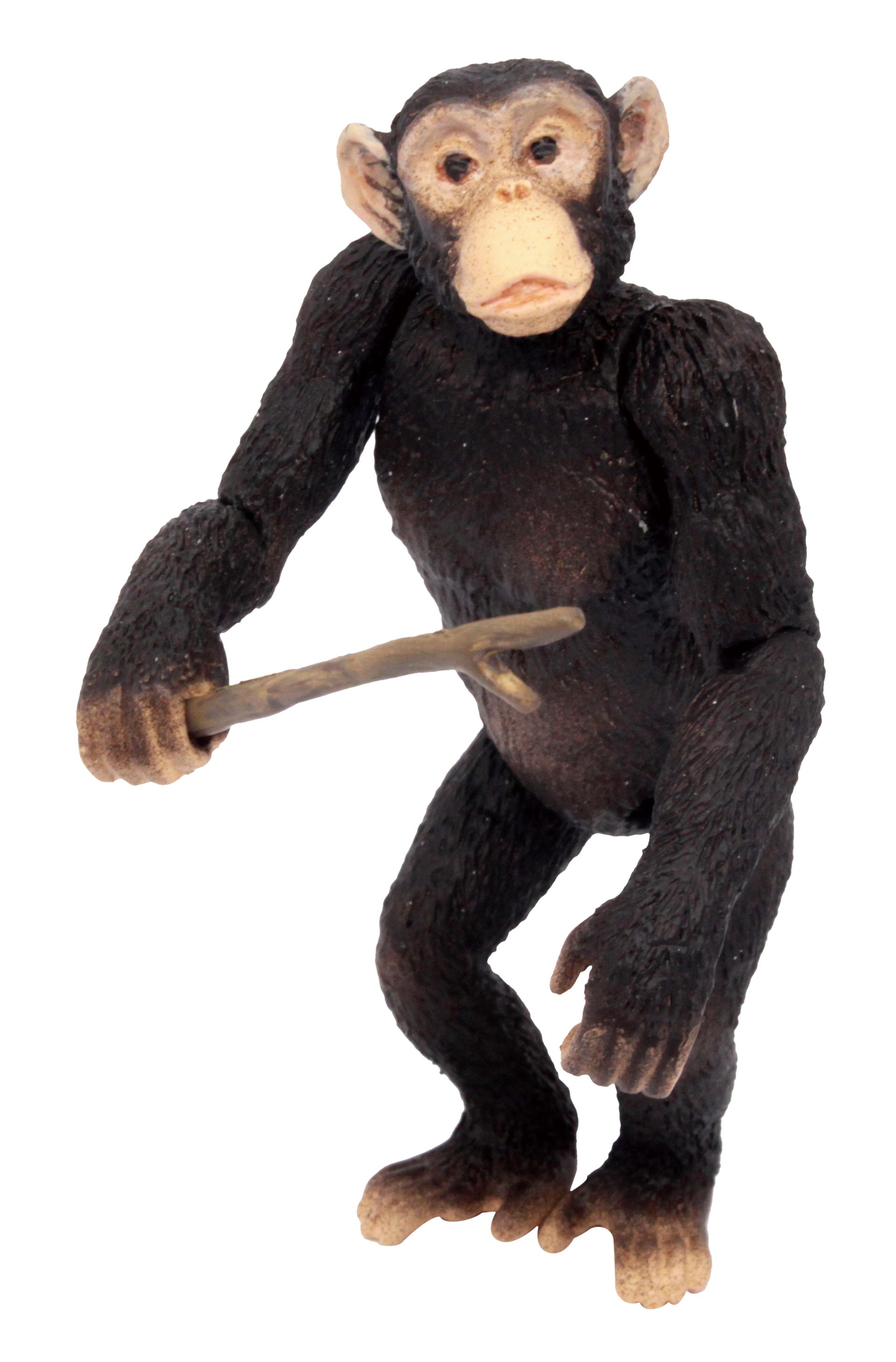 「チンパンジー」は、頭、両腕、両あしが可動。枝を持つことができる