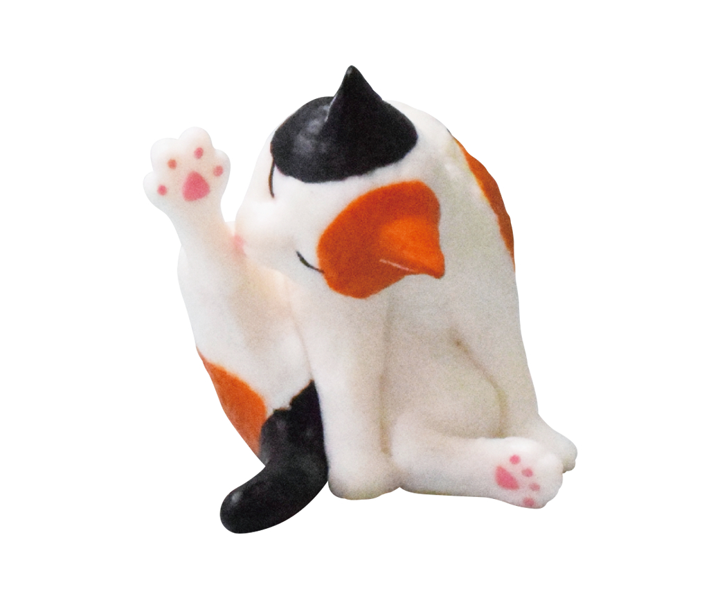 三毛猫