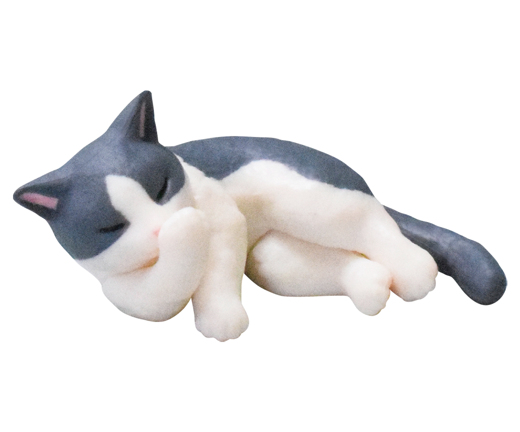 グレーハチワレ