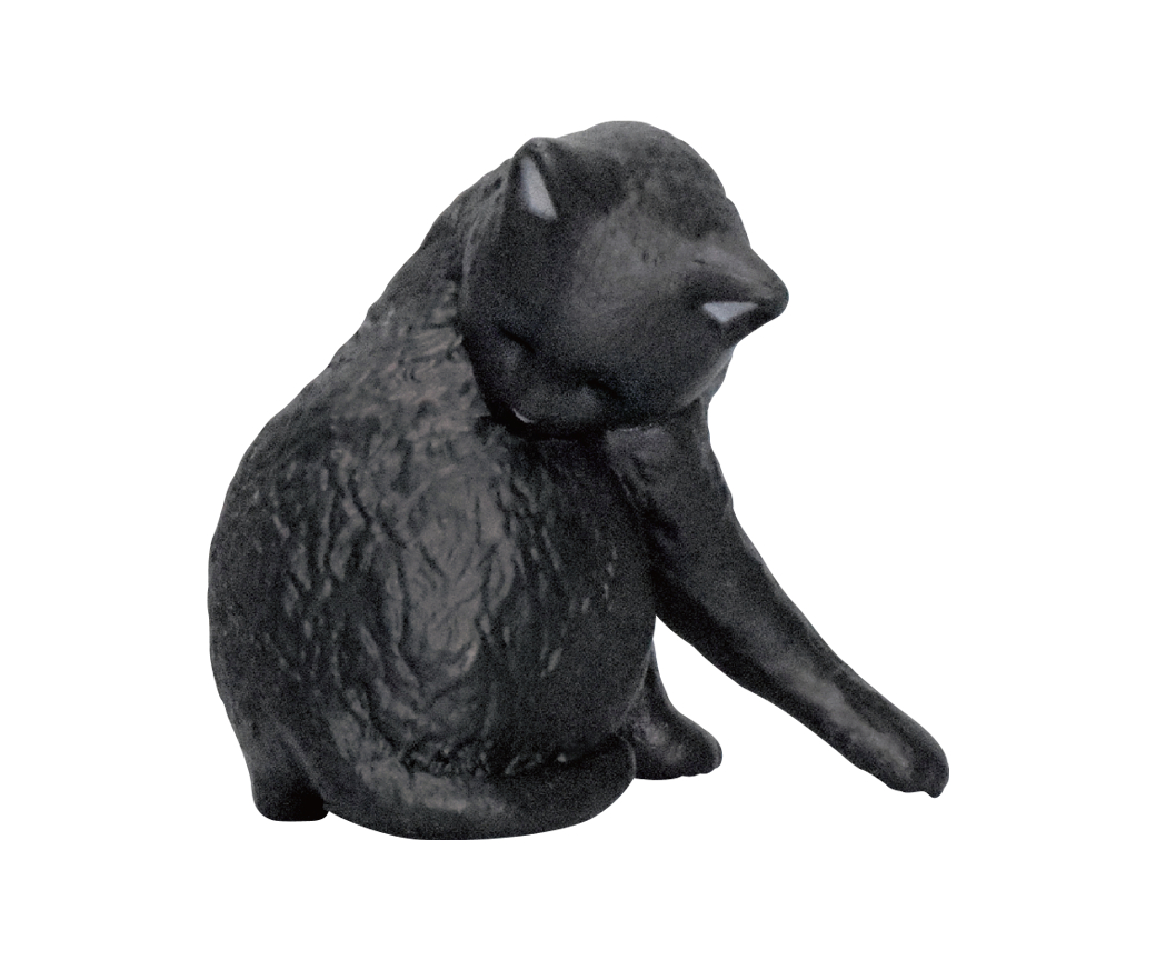 黒猫