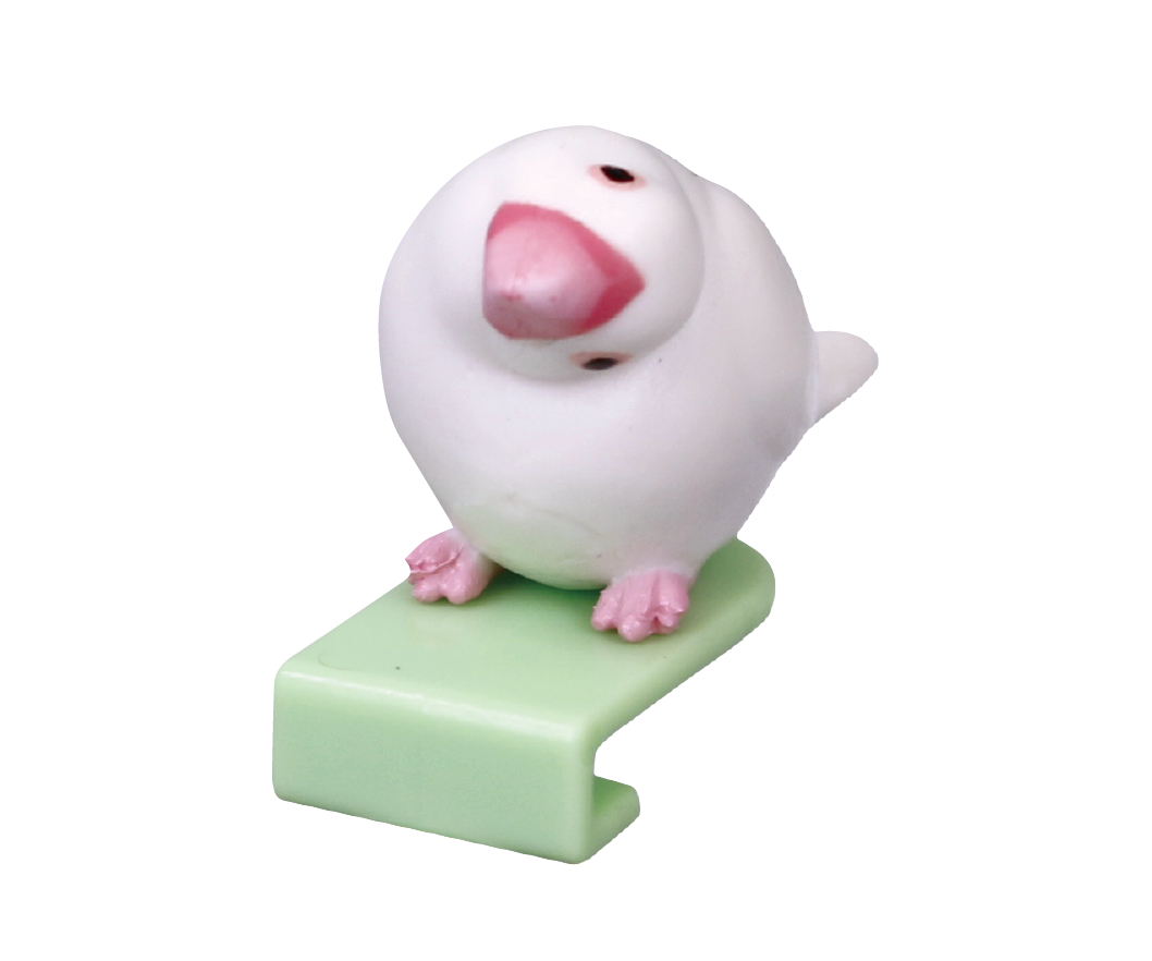 白文鳥（首傾げ）