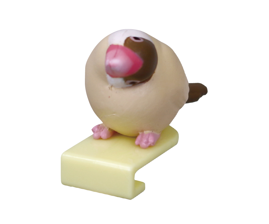 シナモン文鳥（首傾げ）