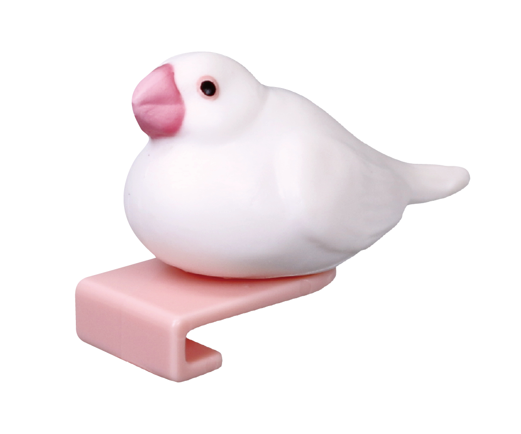 白文鳥（くつろぐ）