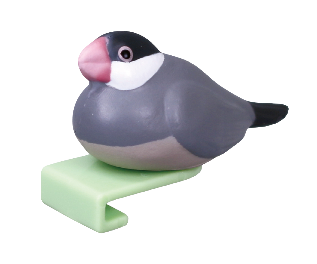 桜文鳥（くつろぐ）