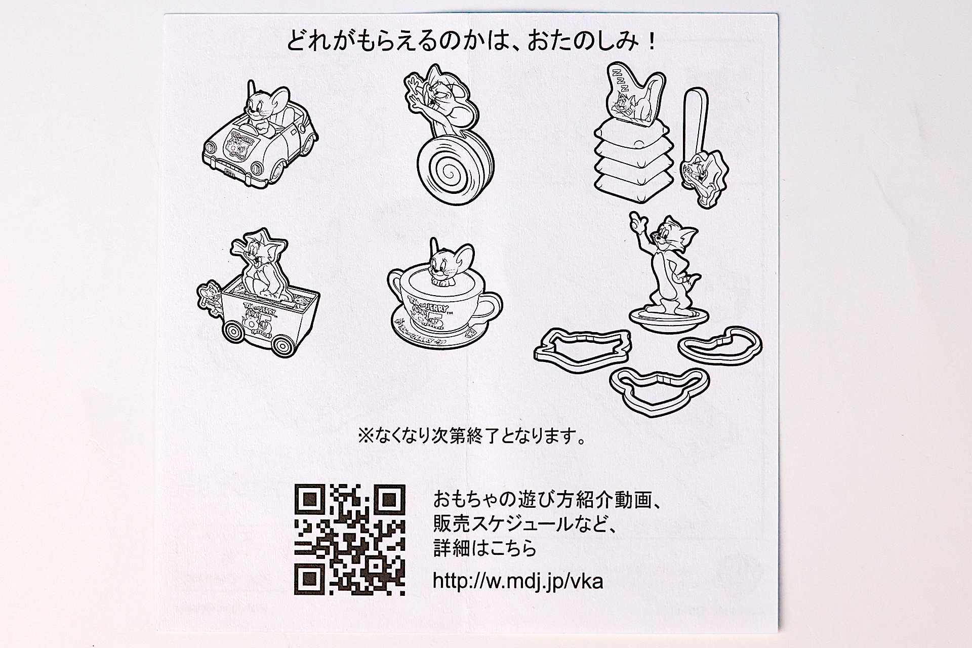 説明書の裏面は全おもちゃに共通したもの