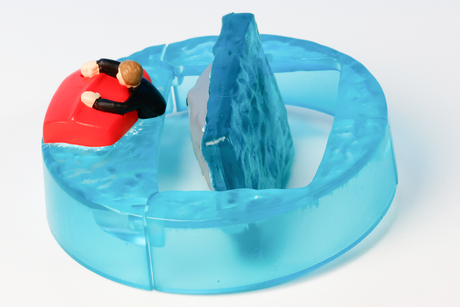 サメの構造は横から見るとわかりやすい