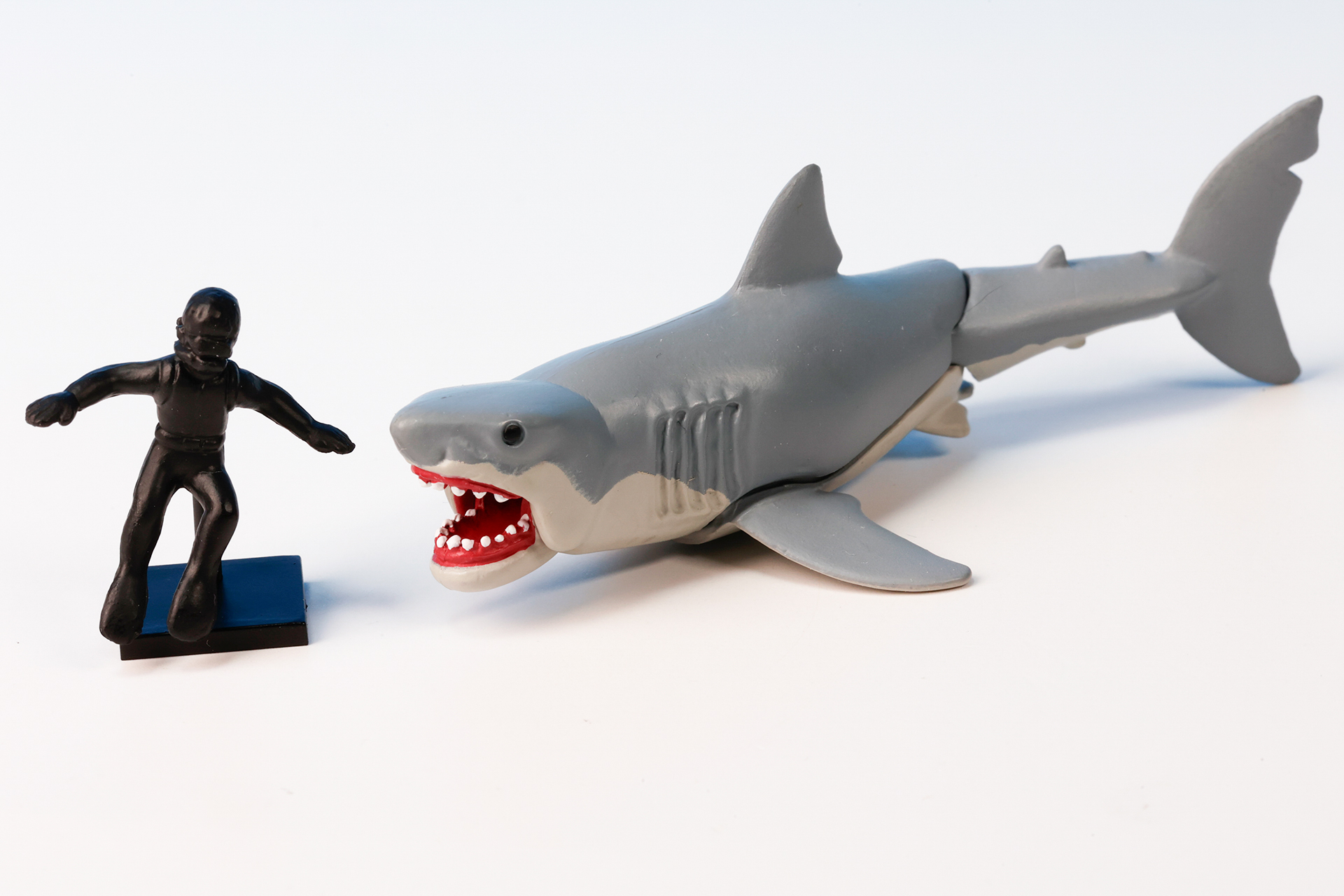 ダイバーとサメを並べると大きさの違いがわかりやすい