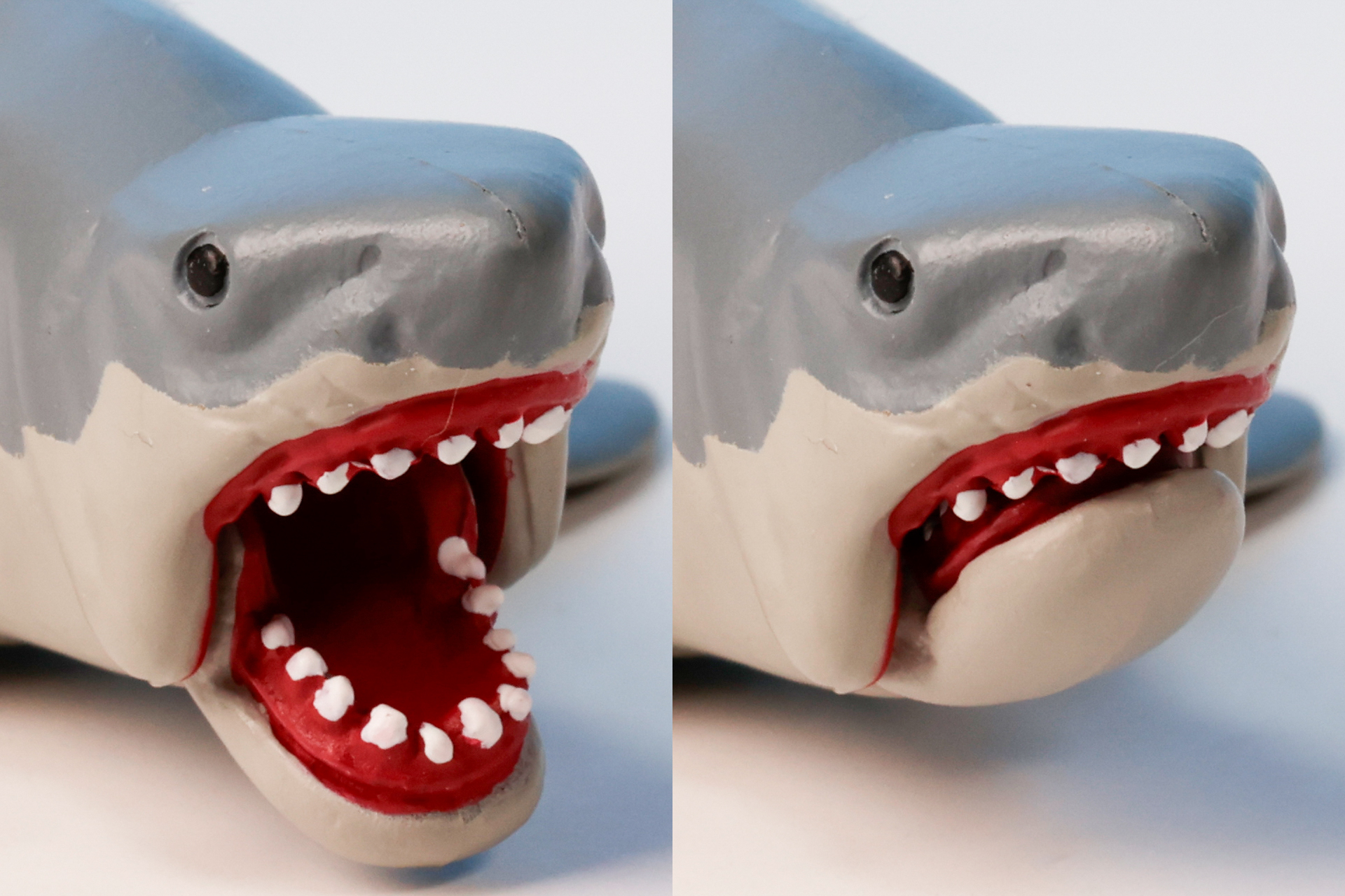 口も開け閉めが可能だ