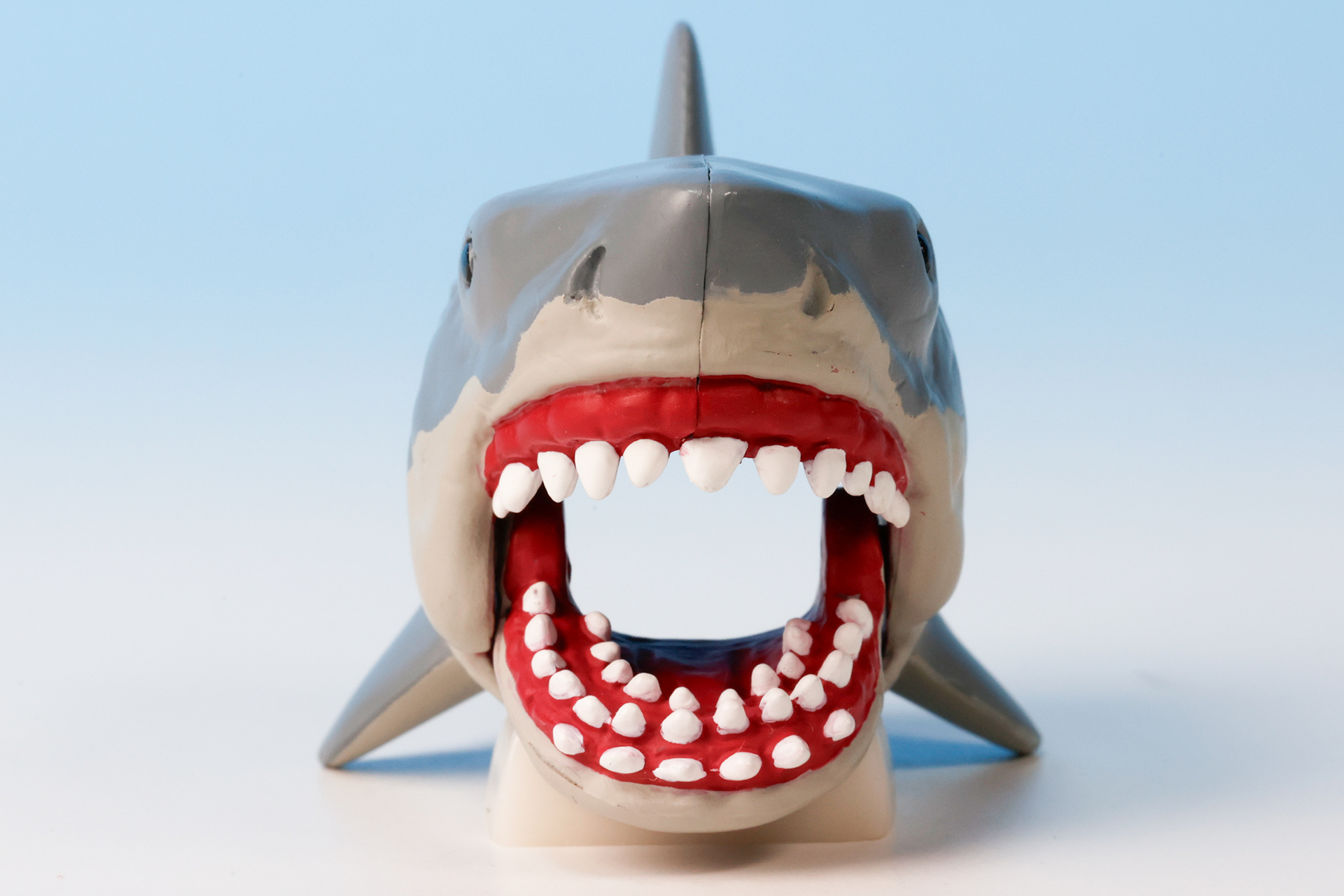 口を大きく開けると向こう側が覗ける